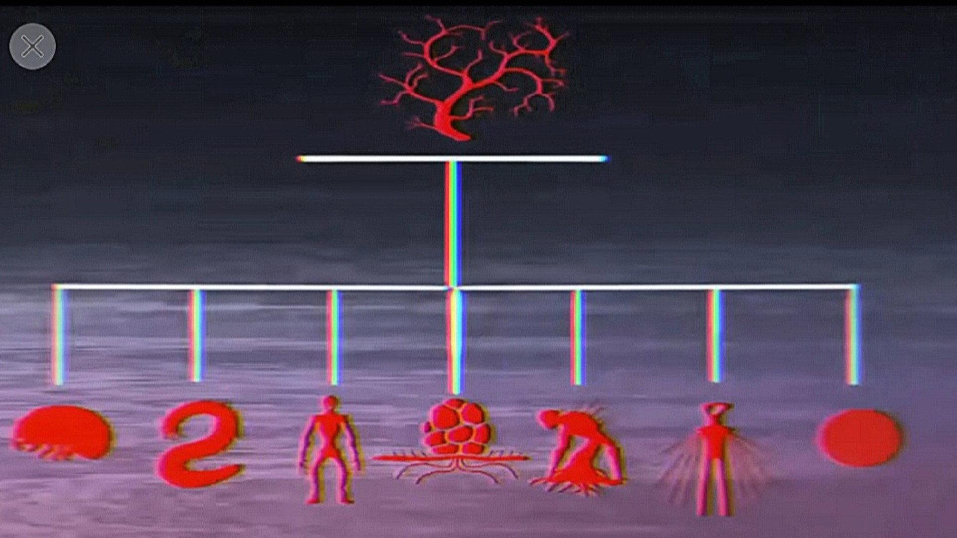 Vita Carnis - Living Meat Documentary 2022 movie scene