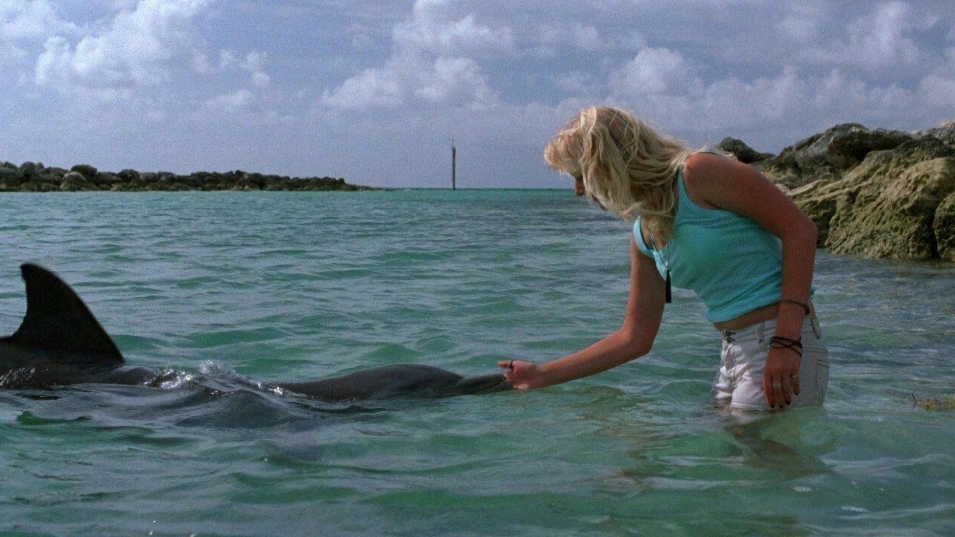 Eye of the Dolphin 2007 movie scene