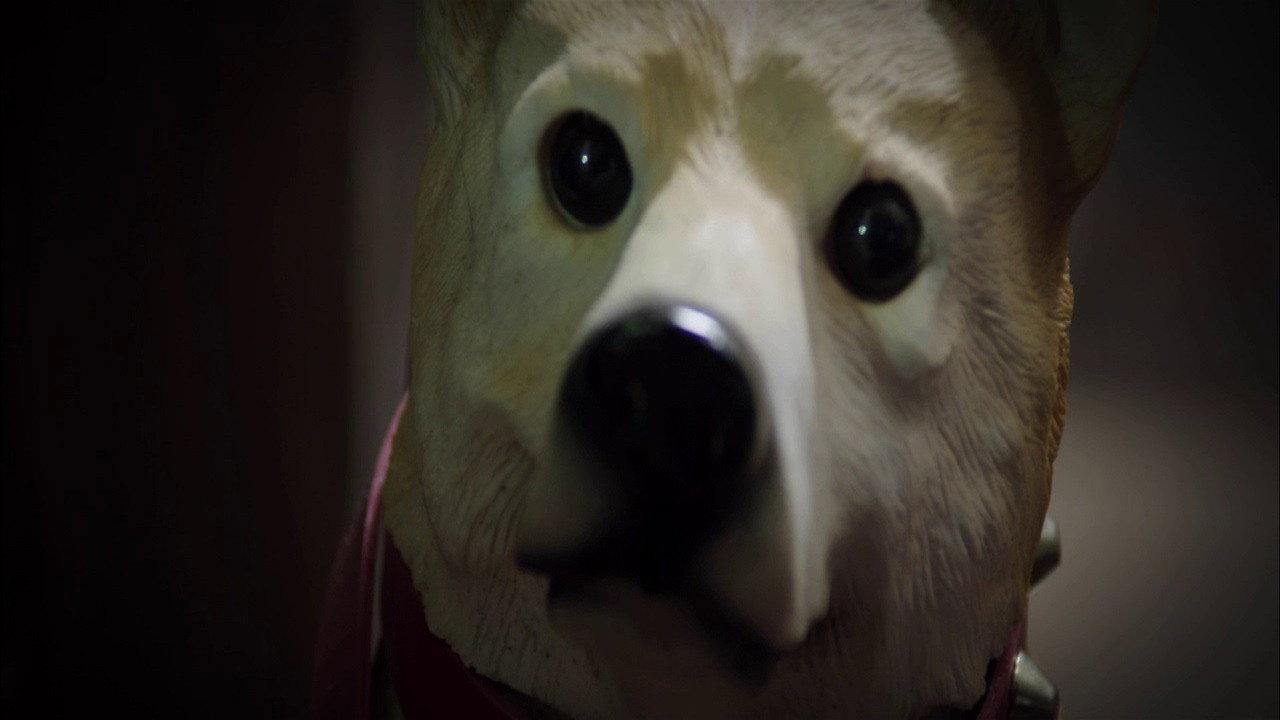The Incredible Truth 2013 movie scene