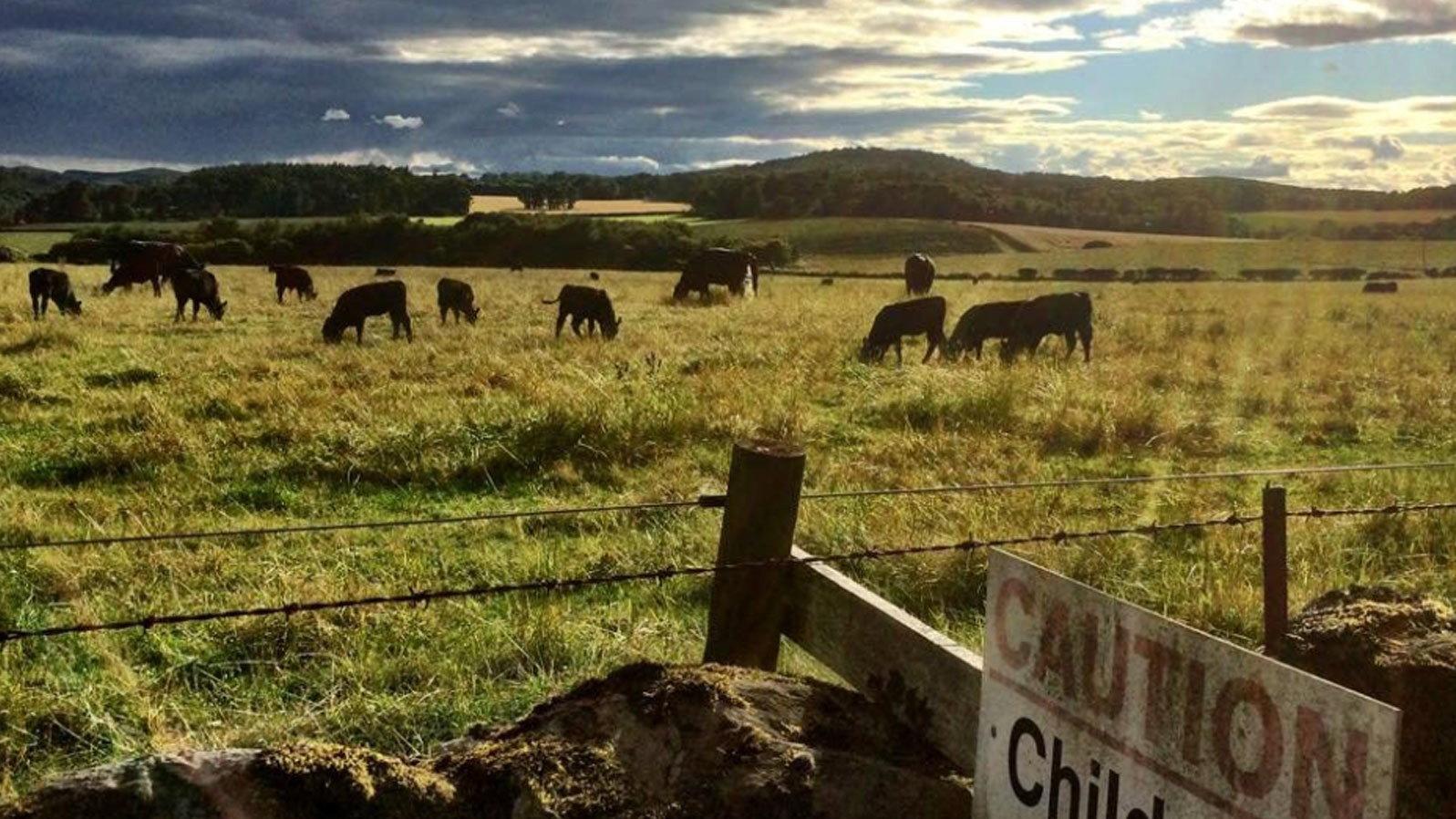 Look Back In Angus 2021 movie scene