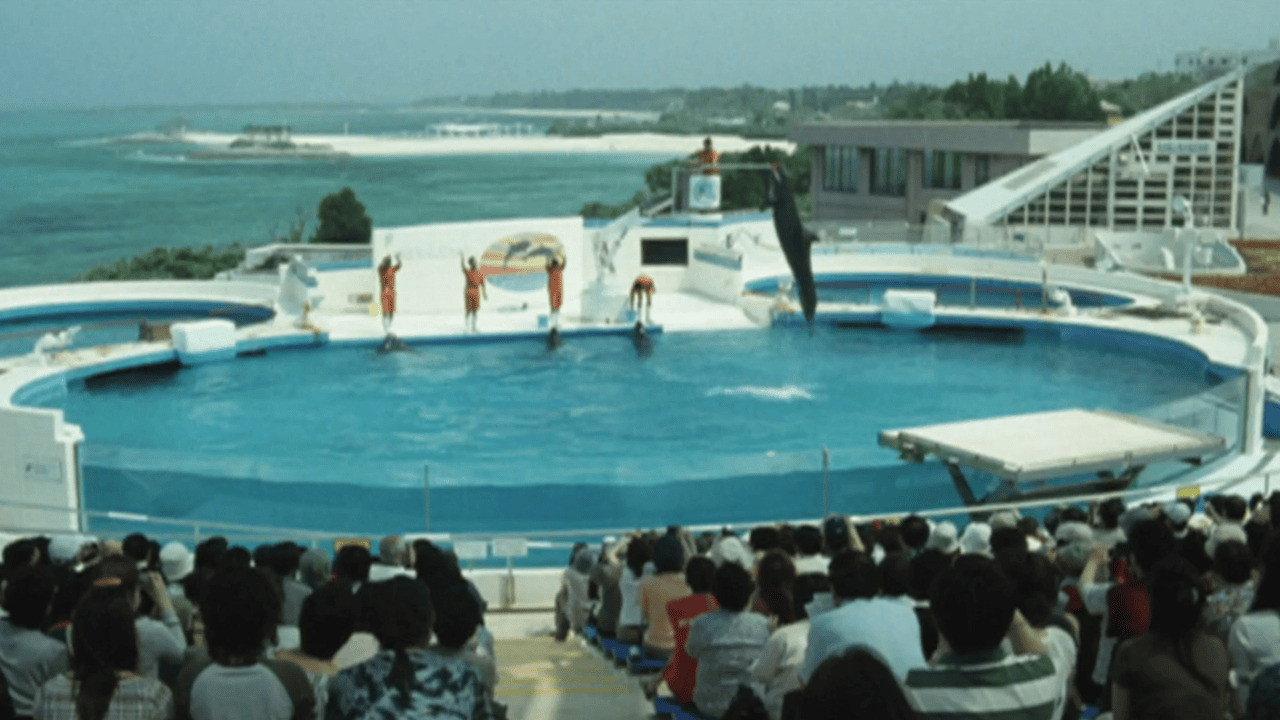 Dolphin Blue: Soar Again, Fuji 2007 movie scene