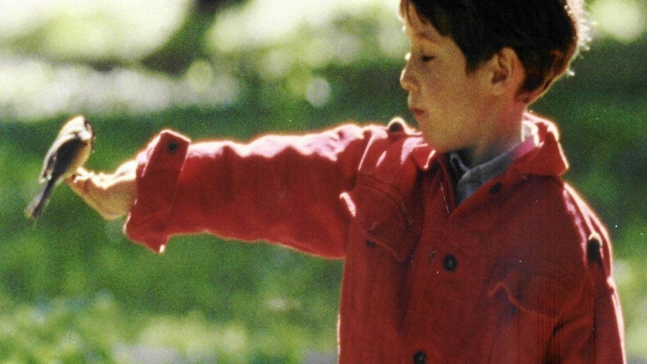 Anything Can Happen 1995 movie scene
