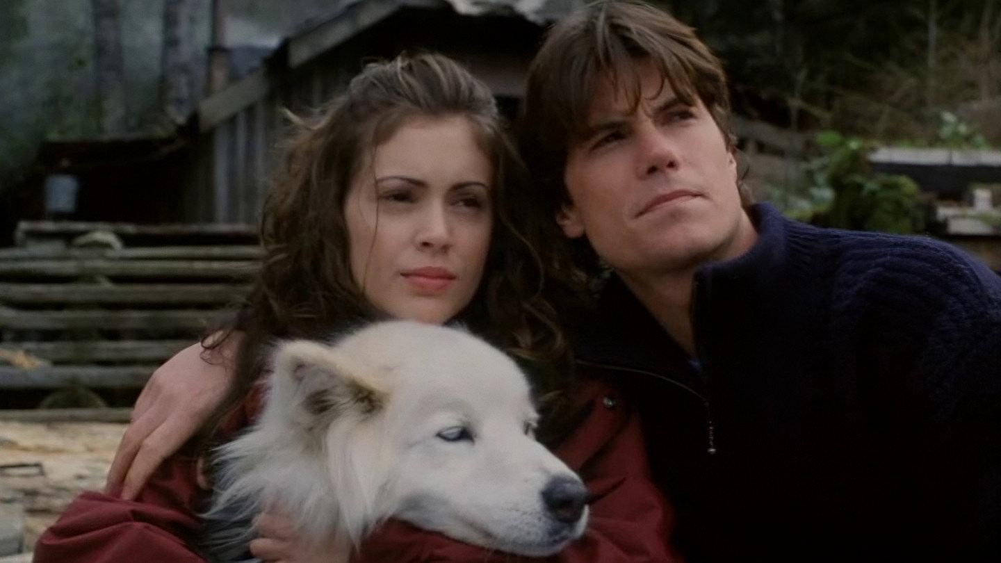 To Brave Alaska 1996 movie scene