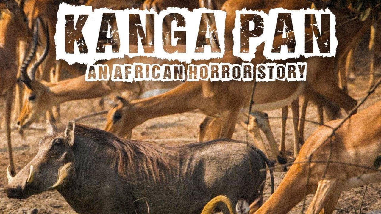 Disparitions autour du Kanga Pan 2019 movie scene