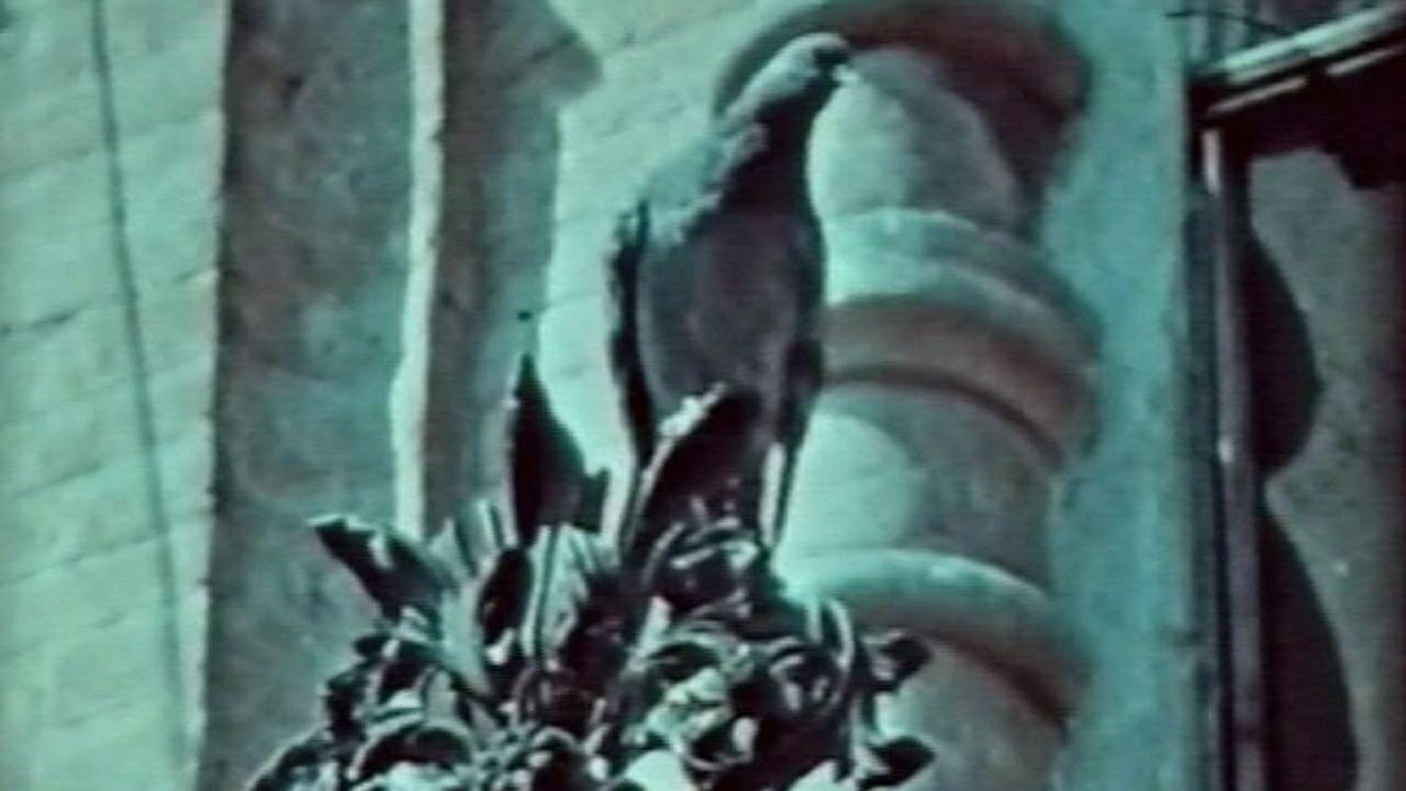 Cast Iron Lace 1982 movie scene