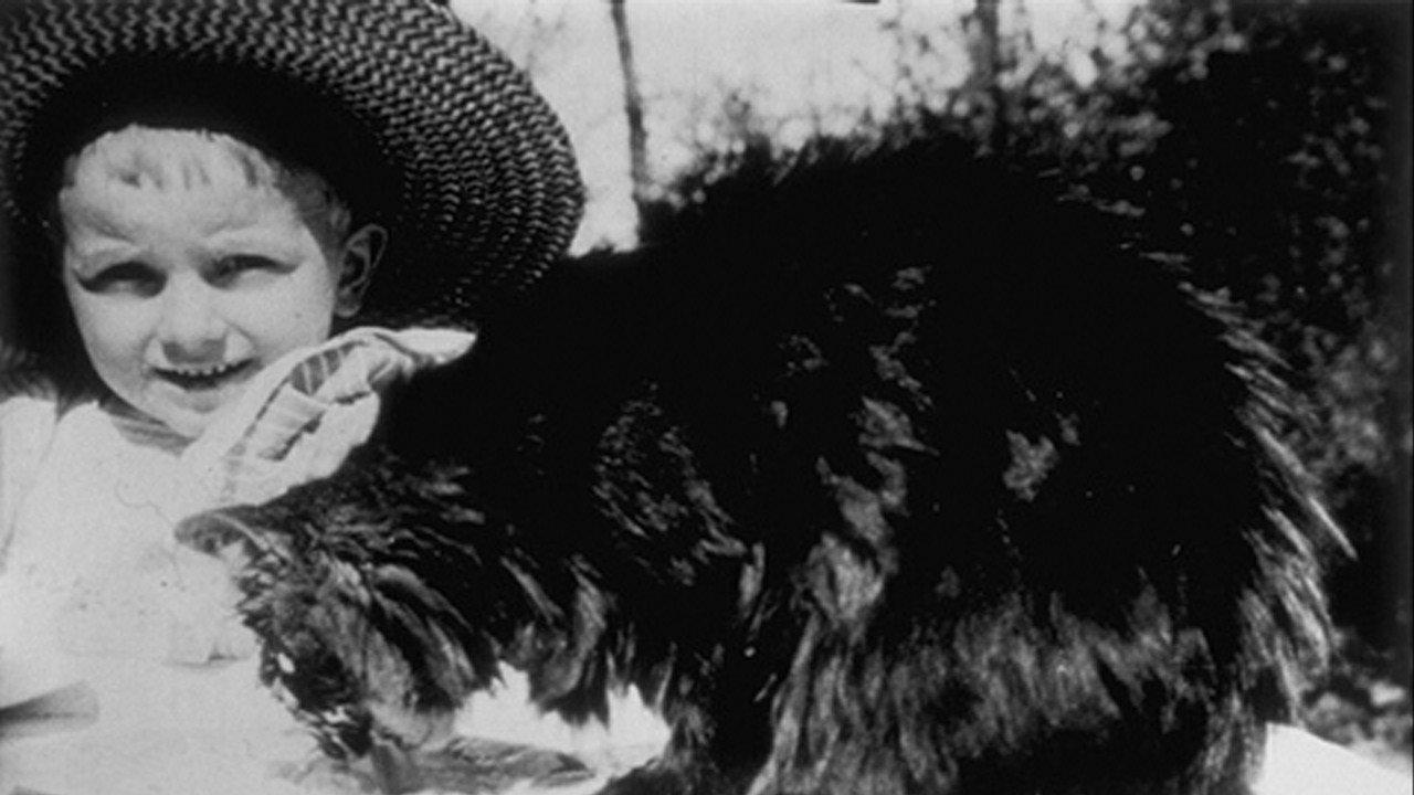 Cat's Lunch 1897 movie scene