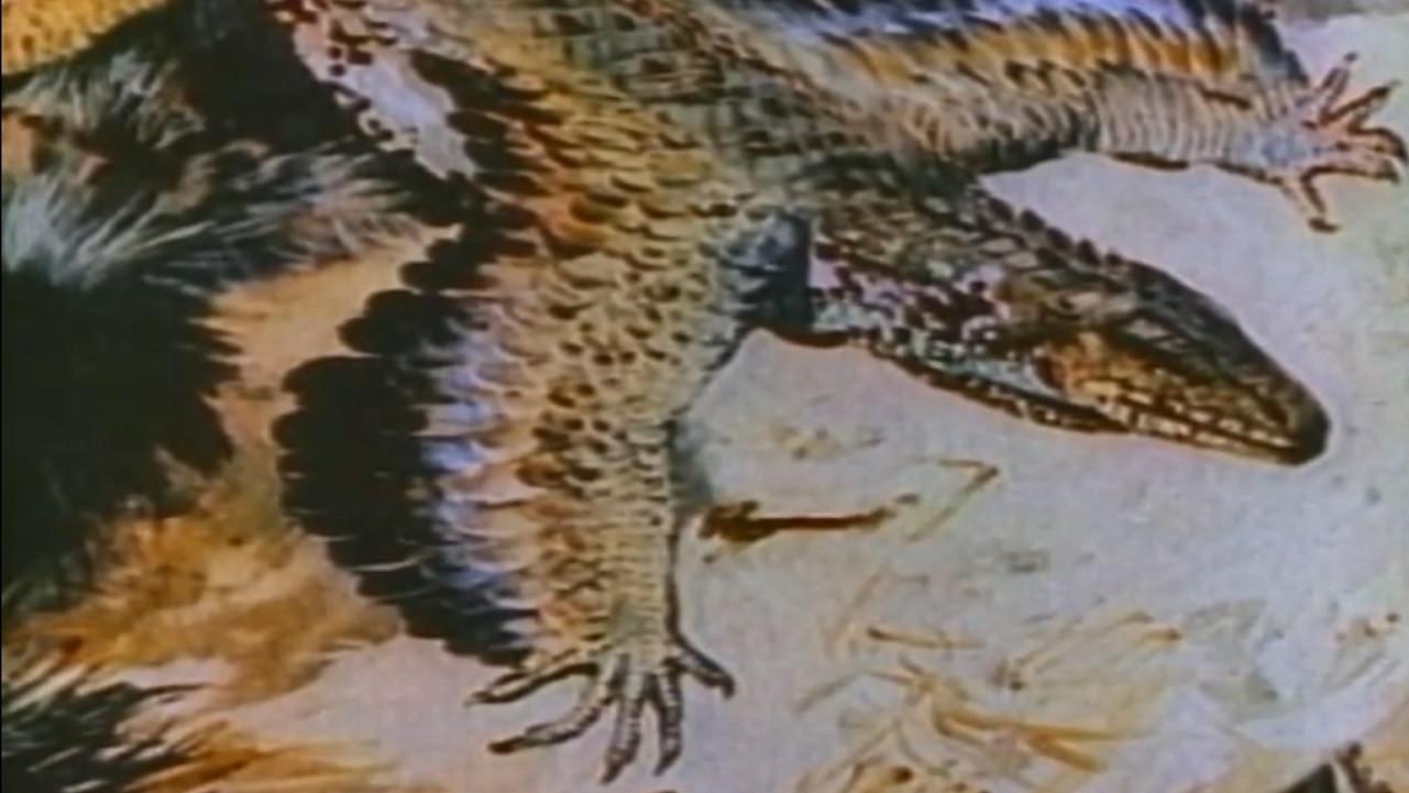 The Case of the Flying Dinosaur 1997 movie scene
