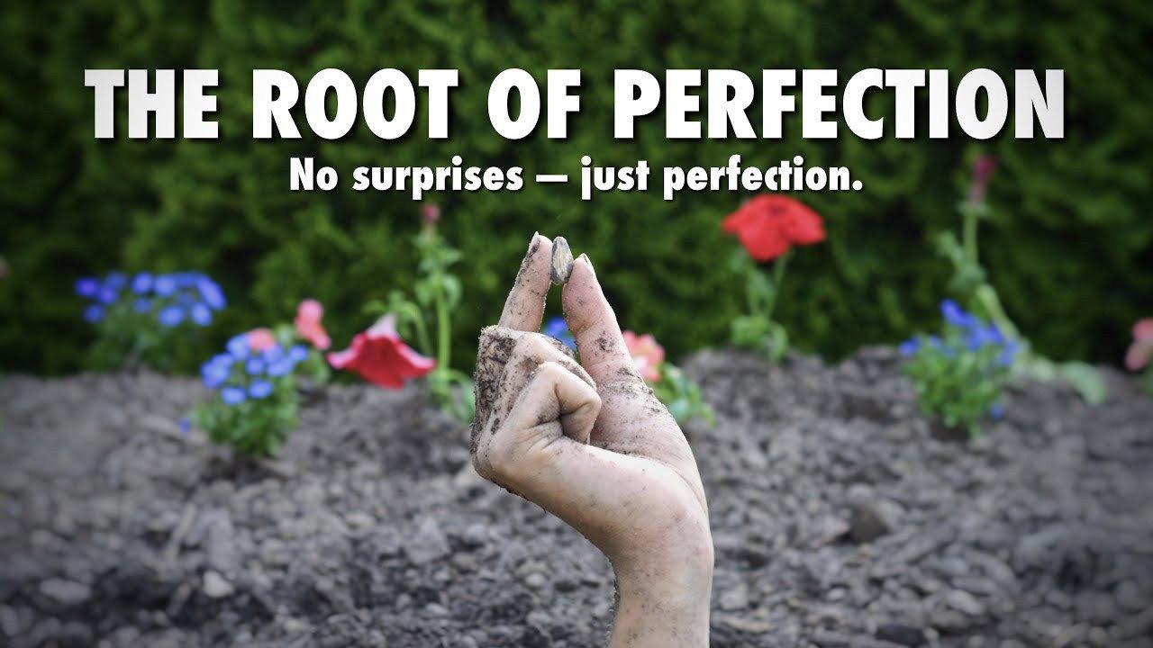 The Root of Perfection 2022 movie scene
