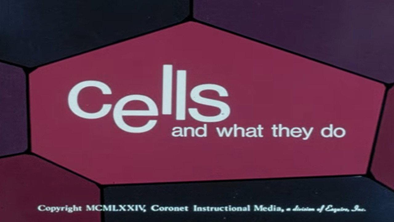 Cells and What They Do 1974 movie scene