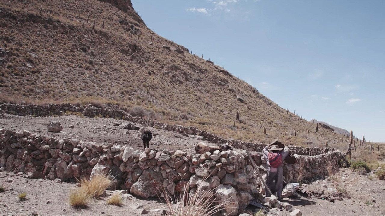 Agua para la vida. La lucha de Ayllu San Agustín de Puñaca 2025 movie scene