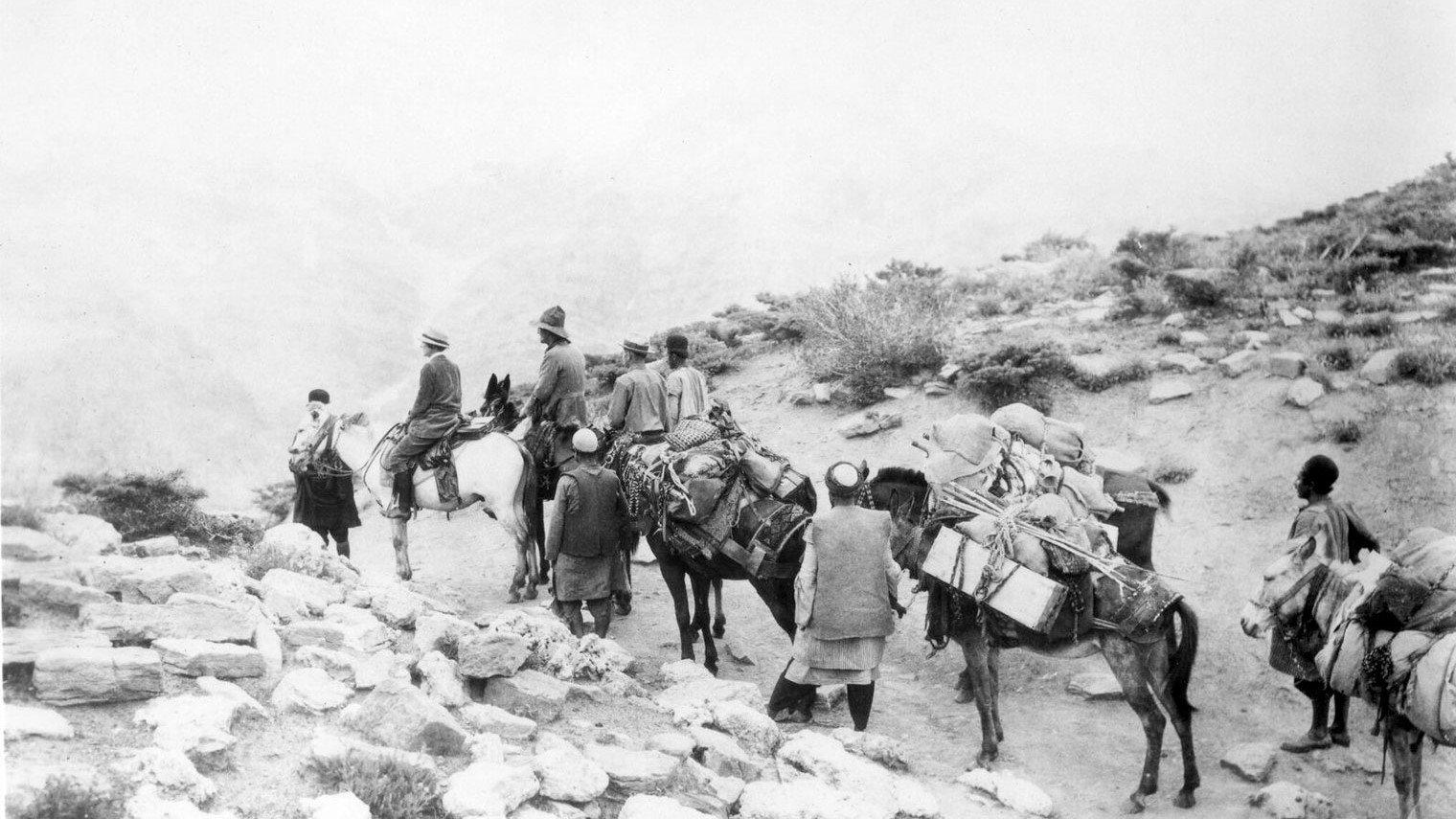Grass: A Nation's Battle for Life 1925 movie scene