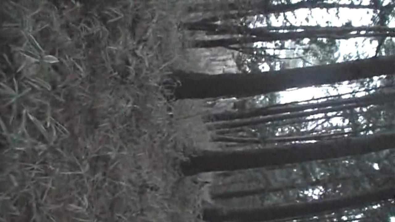 Cursed Local Urban Legends: Hokkaido & Tohoku Edition 2011 movie scene