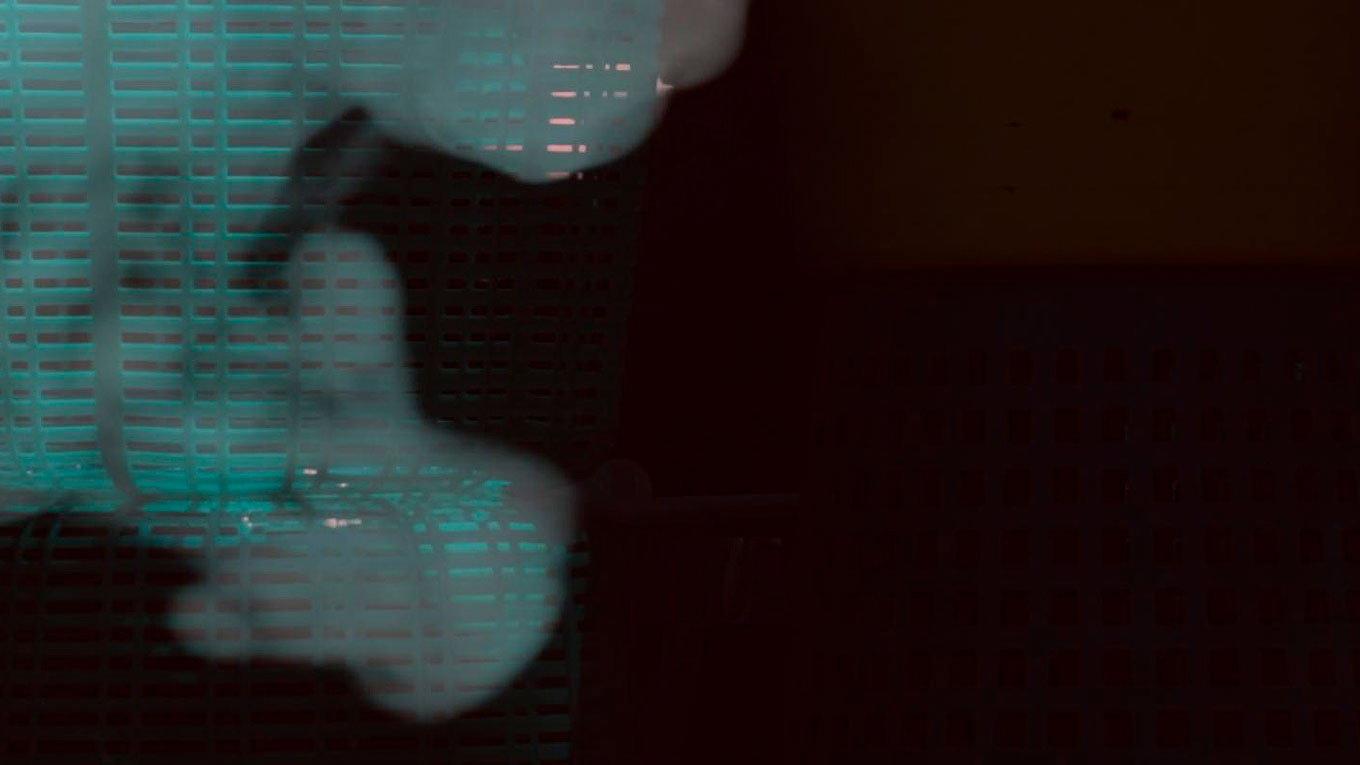 Habitar 2022 movie scene