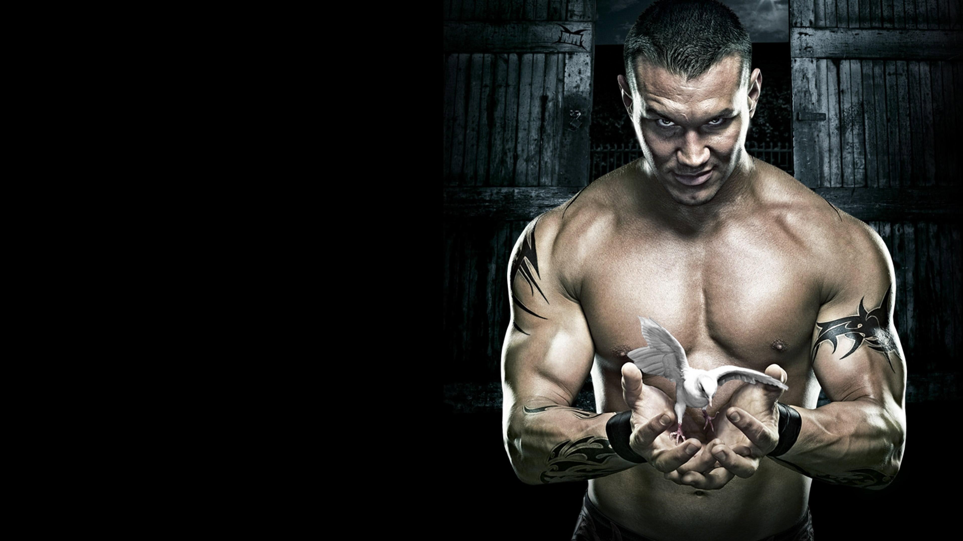 WWE No Mercy 2007 2007 movie scene