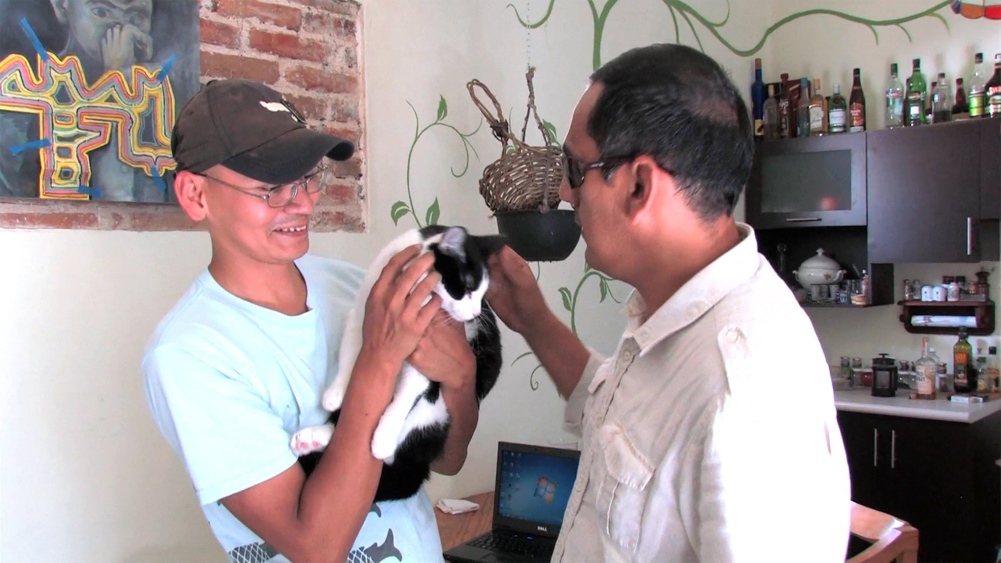 Along Came a Catdidate 2013 movie scene