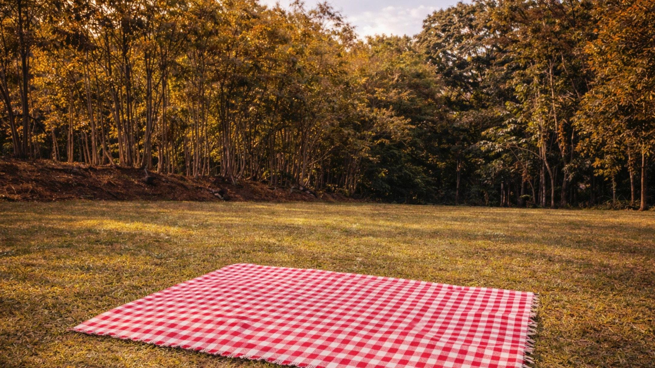 Sonhei de Novo 2026 movie scene