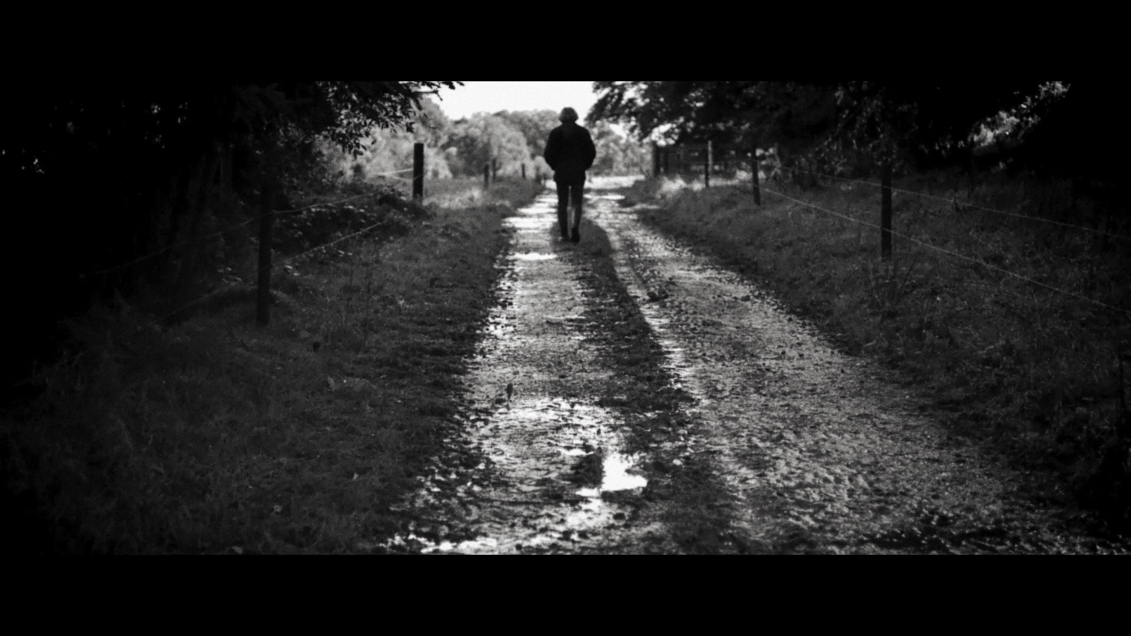 The Days of Trees 2024 movie scene