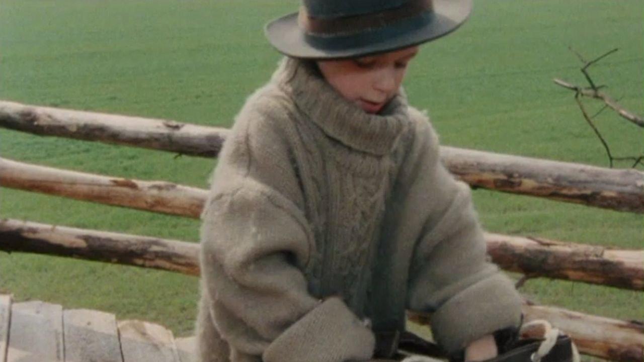 Language of Birds 1991 movie scene