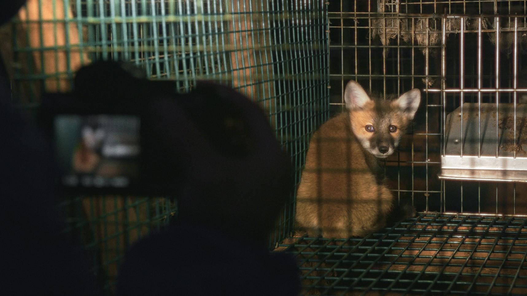 Just Animals 2022 movie scene