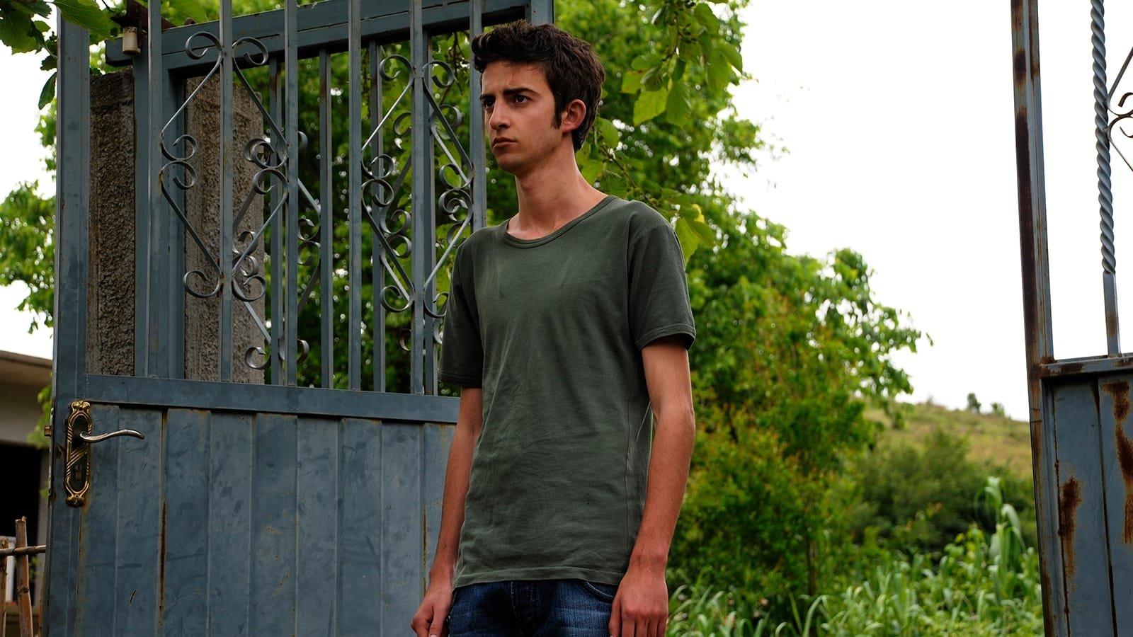 The Forgiveness of Blood 2011 movie scene