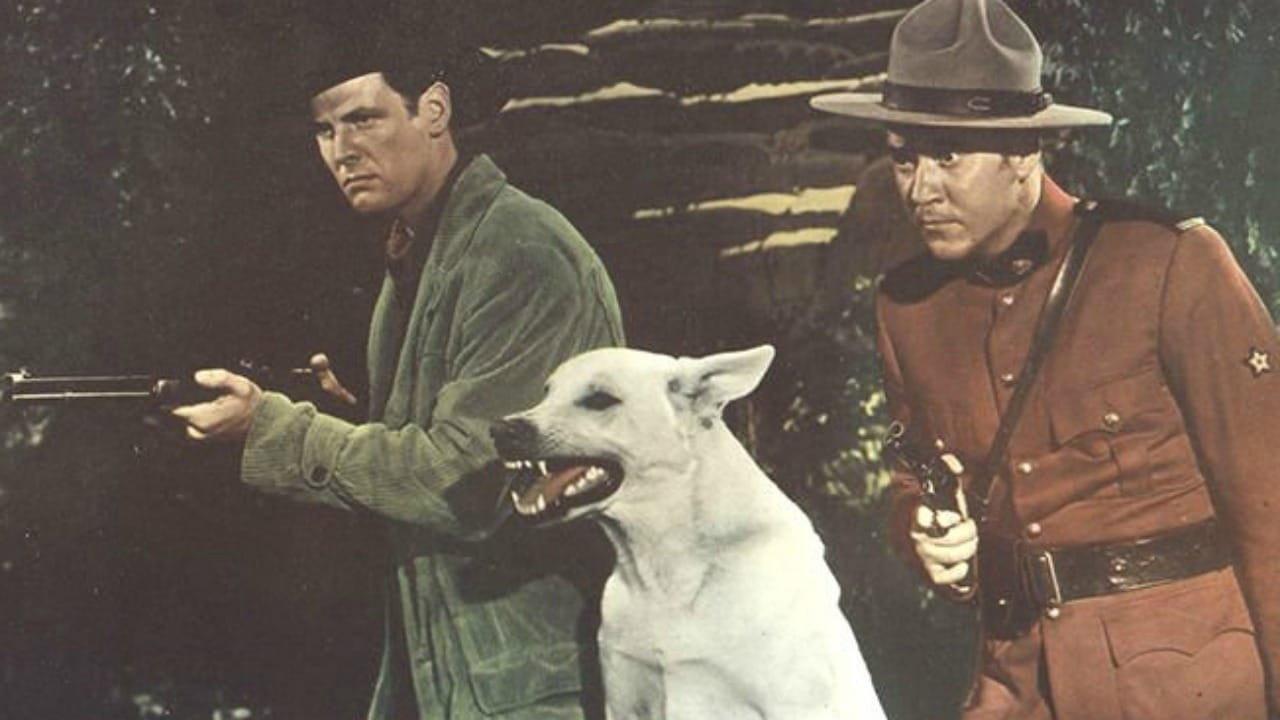 Trail of the Yukon 1949 movie scene