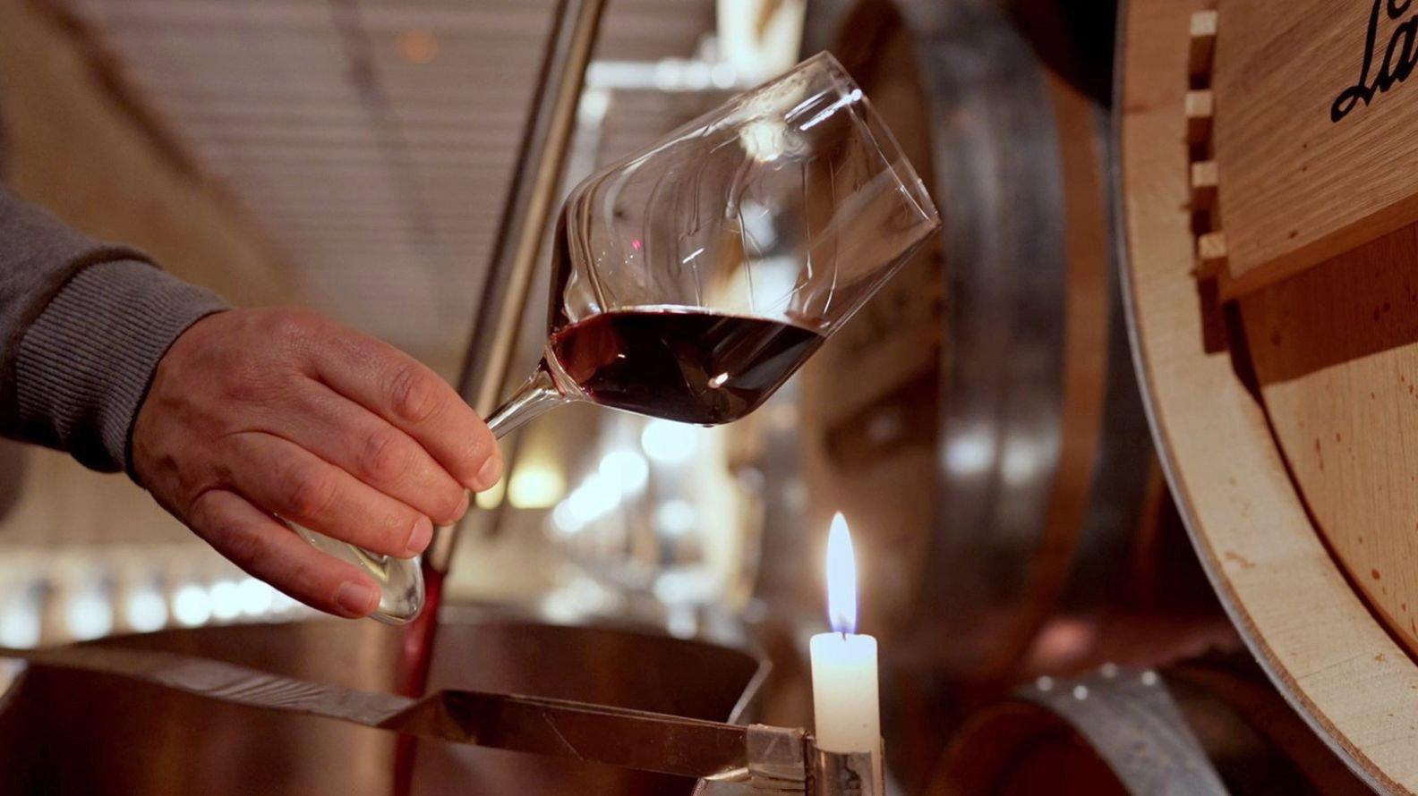 Rioja: The Land of a Thousand Wines 2023 movie scene