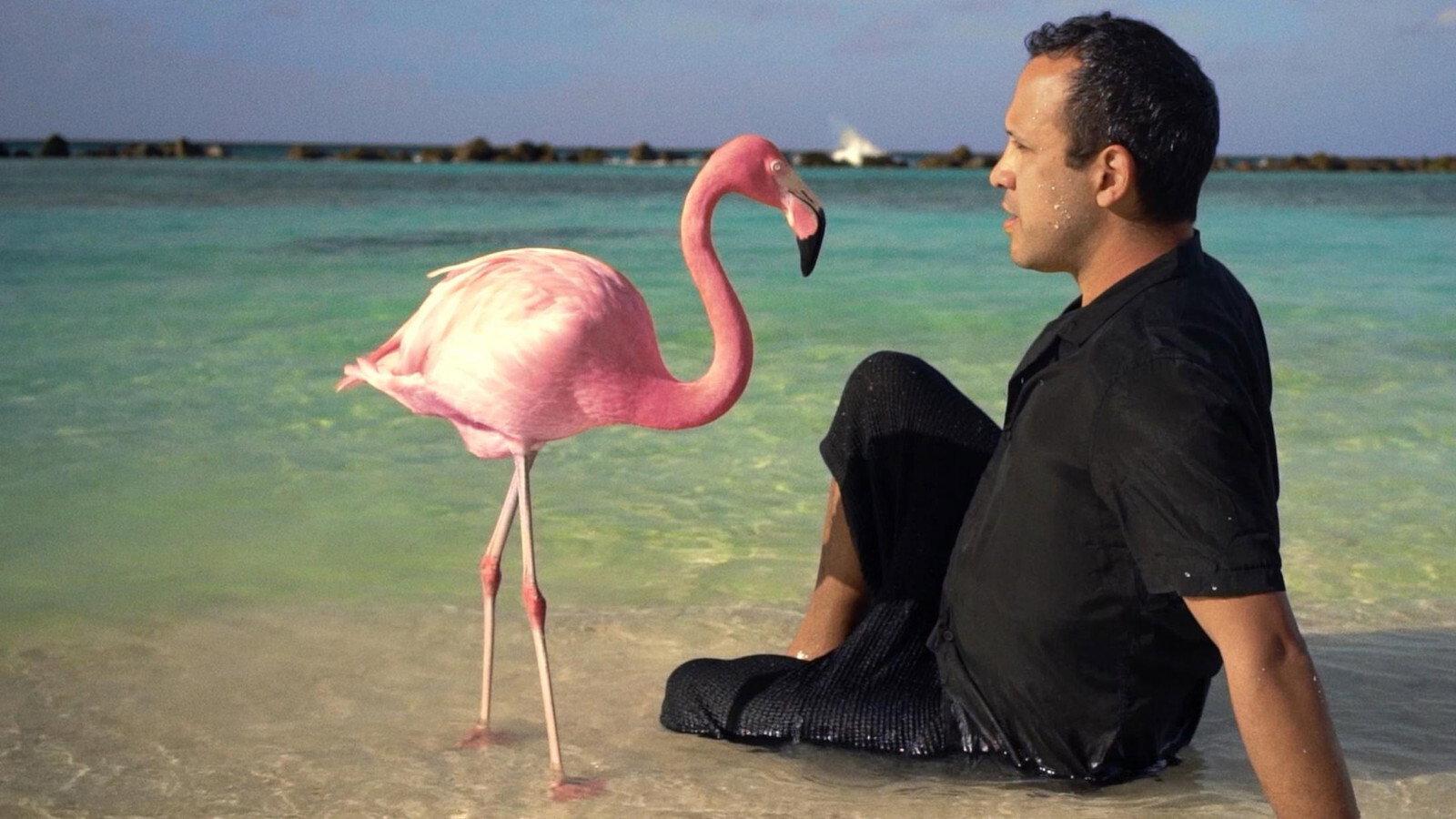 The Mystery of the Pink Flamingo 2020 movie scene