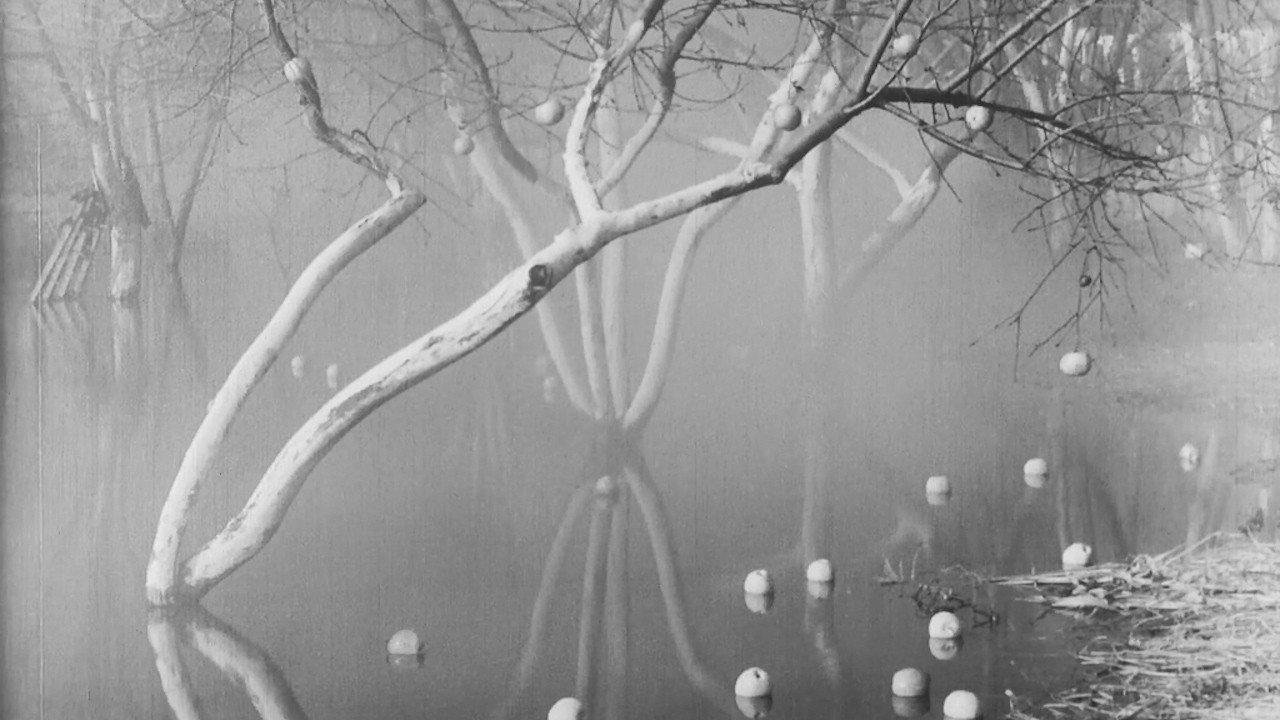Unborn 1972 movie scene
