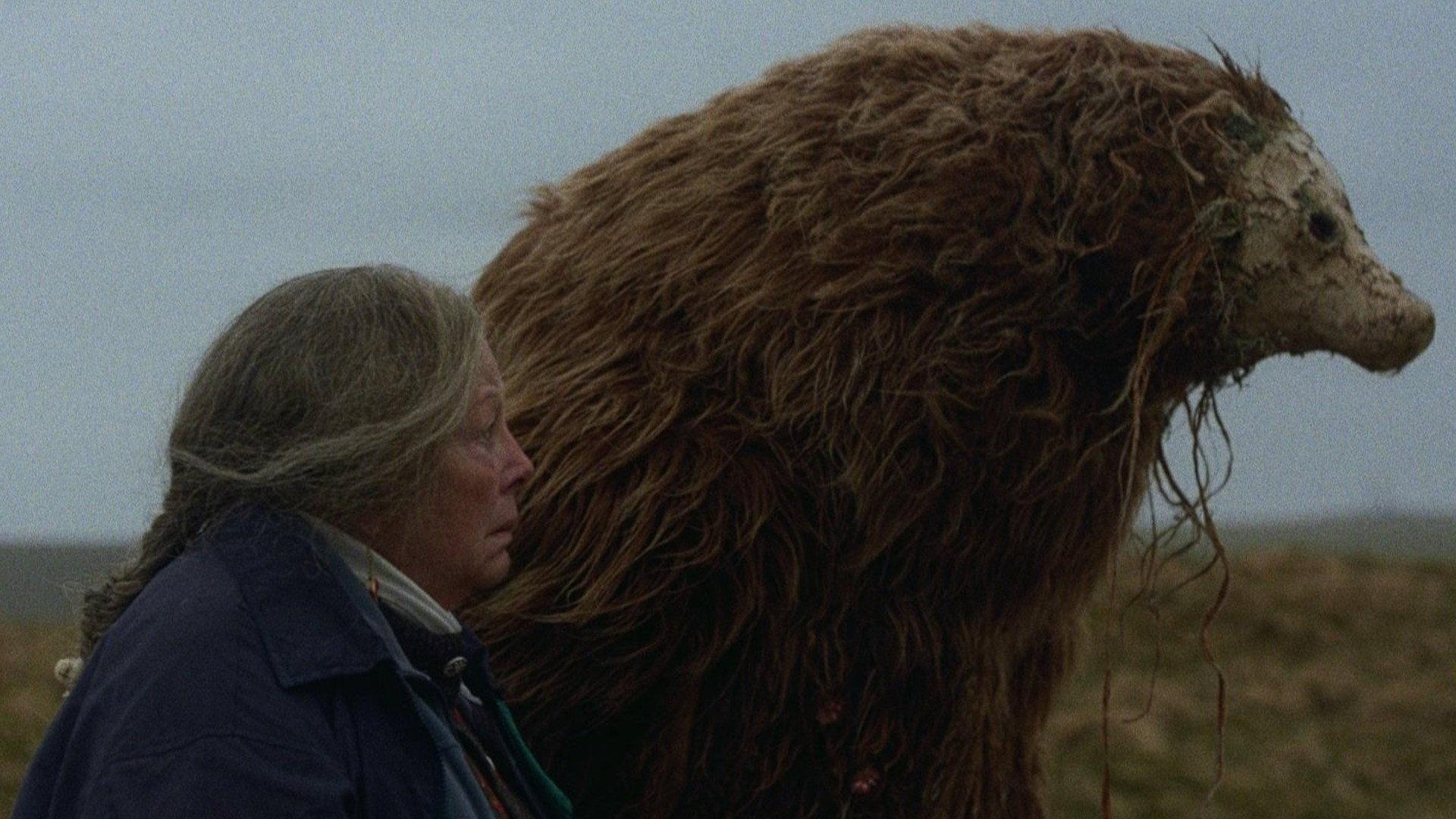 A Bear Remembers 2025 movie scene