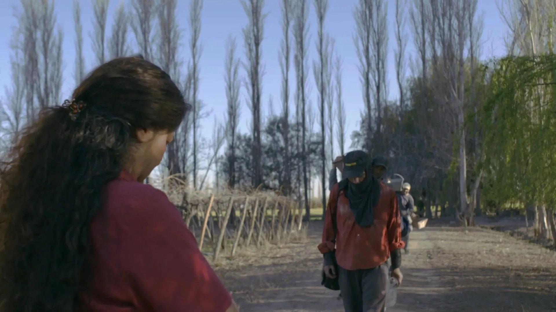 Tiempo de Cosecha 2019 movie scene