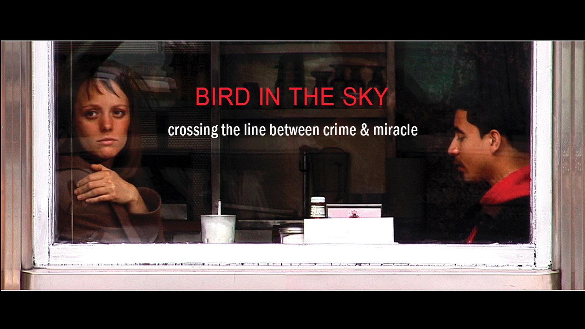 BIRD IN THE SKY 2005 movie scene