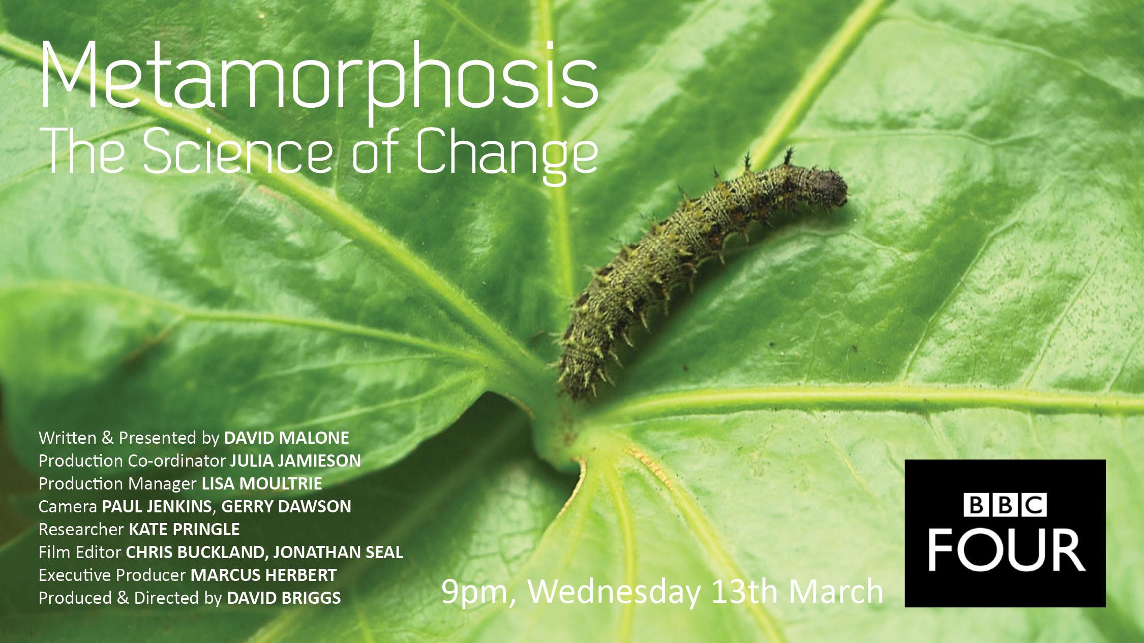 Metamorphosis: The Science of Change 2013 movie scene