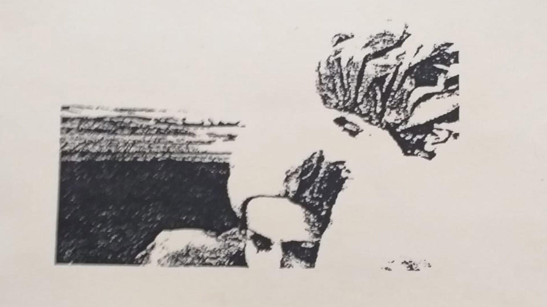 L'Idea Centrale 1987 movie scene