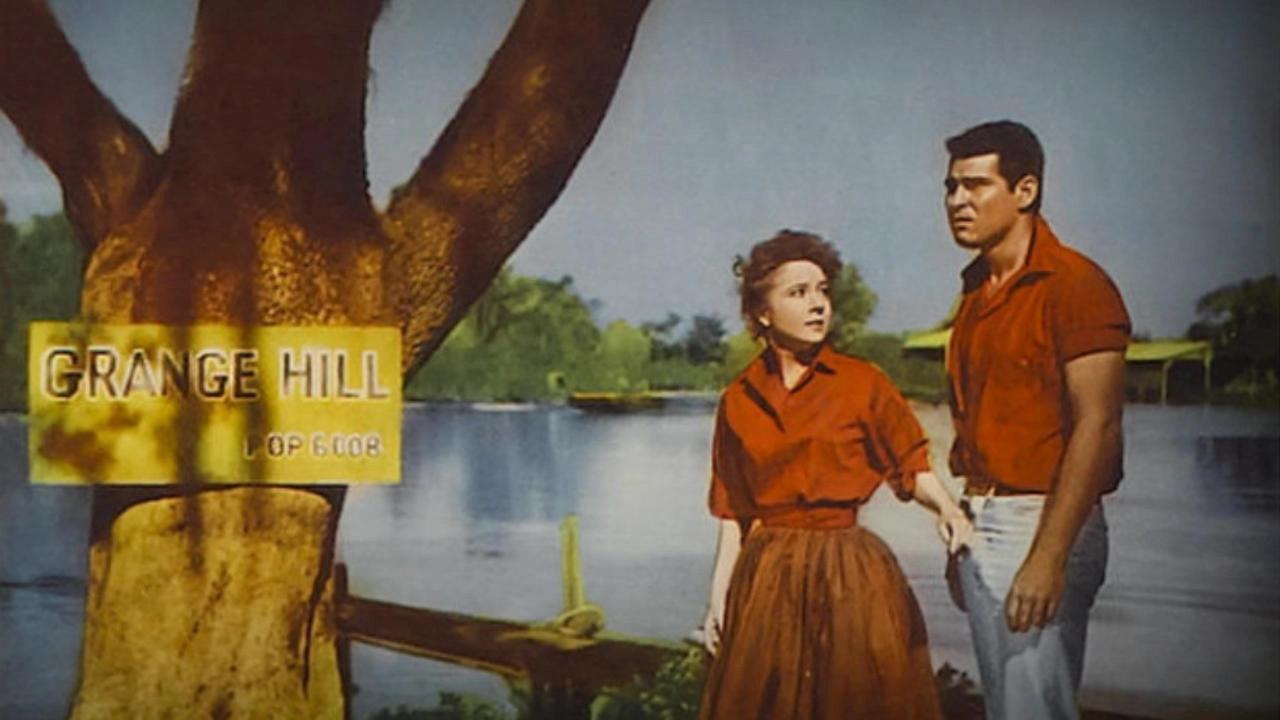The Louisiana Hussy 1959 movie scene