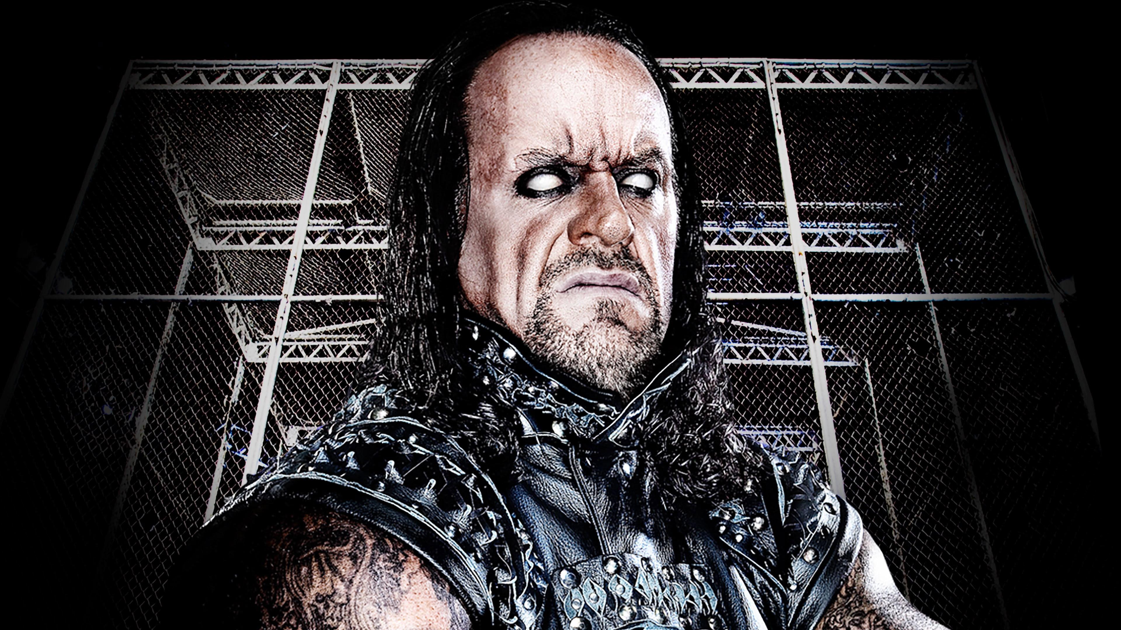 WWE Hell In A Cell 2010 2010 movie scene