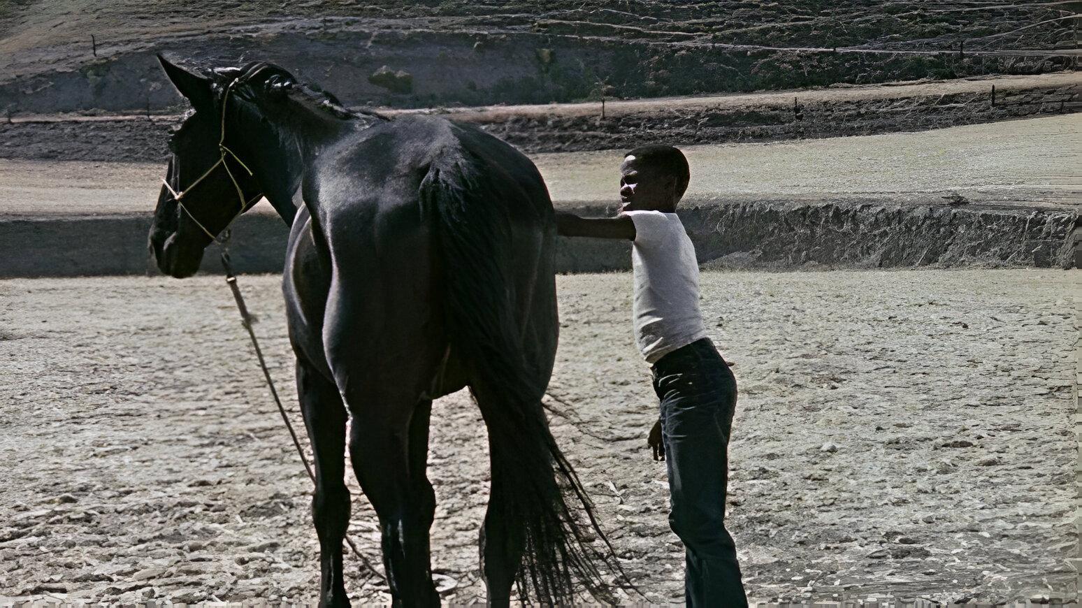 The Horse 1973 movie scene