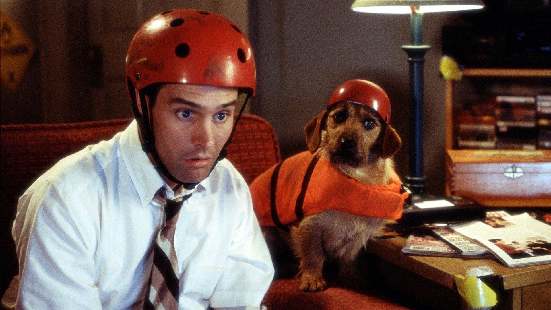 Frank McKlusky, C.I. 2002 movie scene