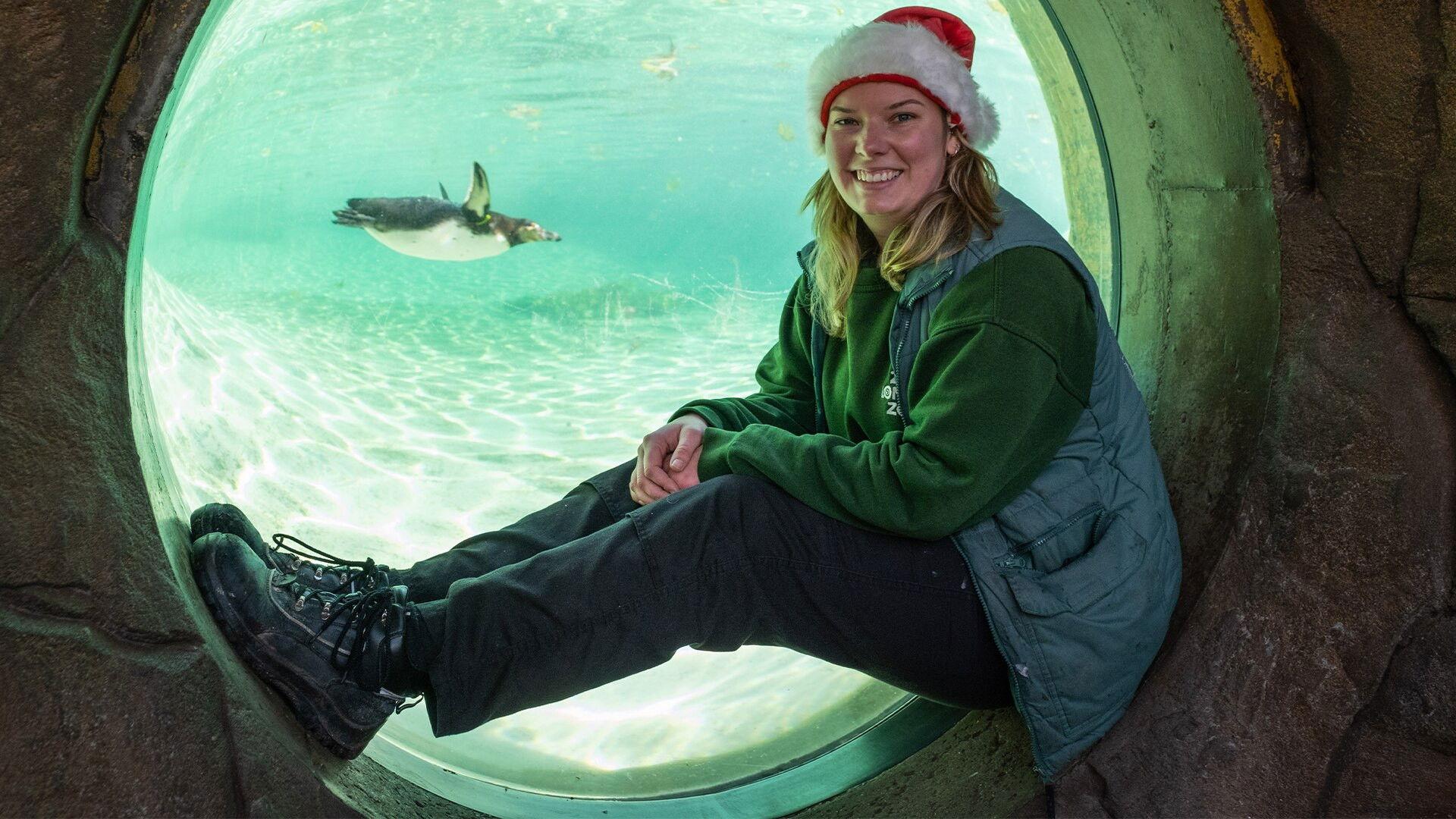 London Zoo at Christmas 2022 movie scene