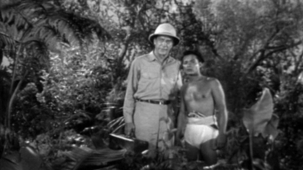 Jungle Hell 1956 movie scene