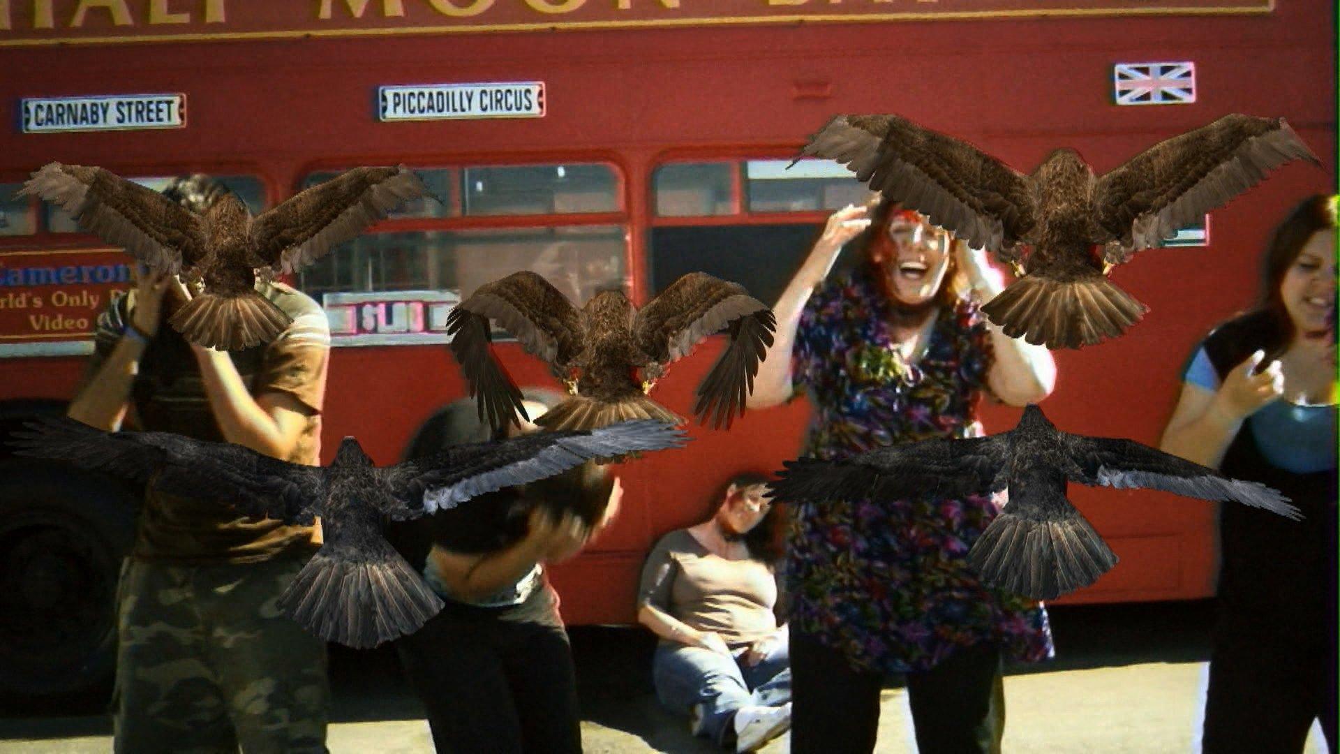 Birdemic: Shock and Terror 2010 movie scene