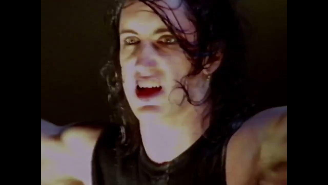 Nine Inch Nails: Further Down The Spiral Tour 1995 movie scene