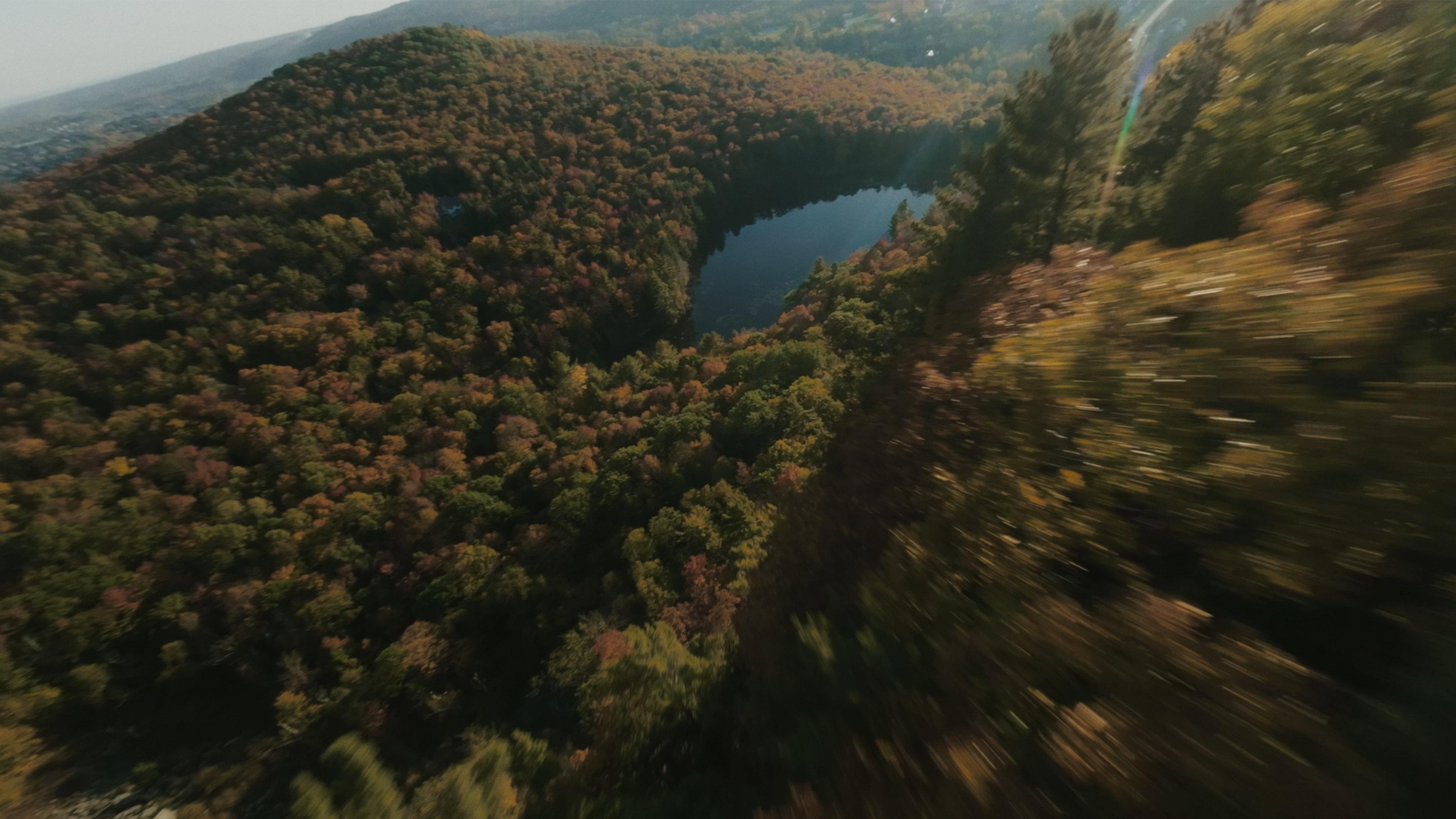 Corridors: Les voies de la Nature 2024 movie scene