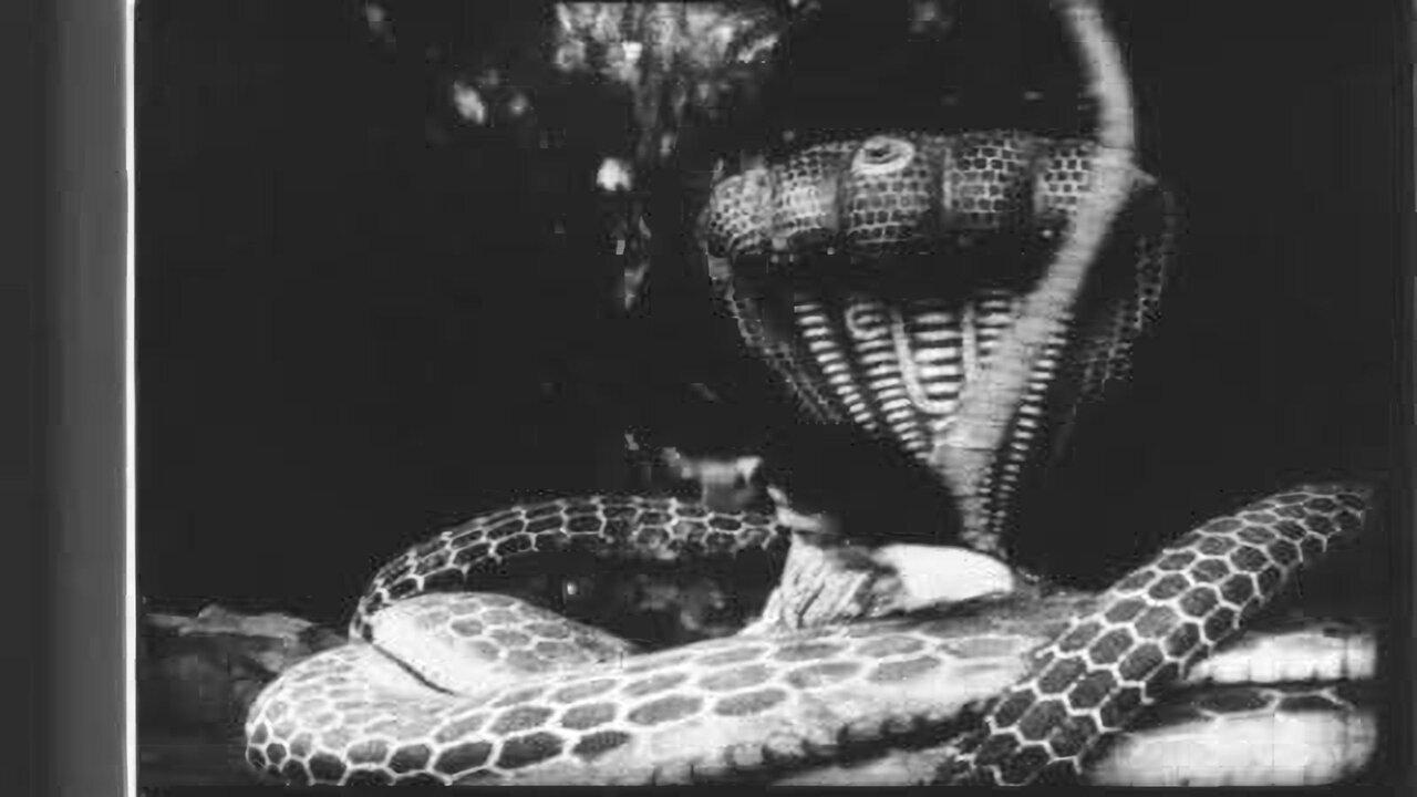 The Childhood of Krishna 1919 movie scene