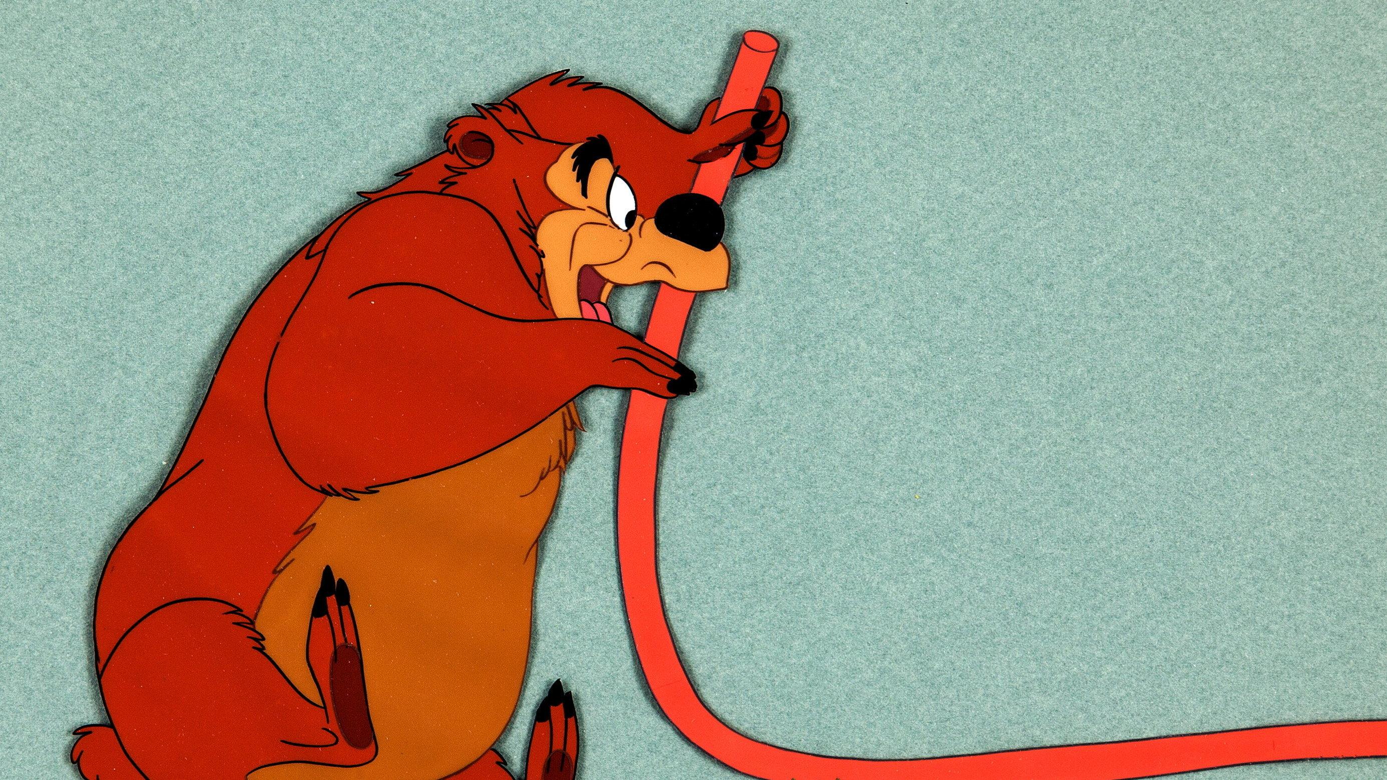 Hooked Bear 1956 movie scene