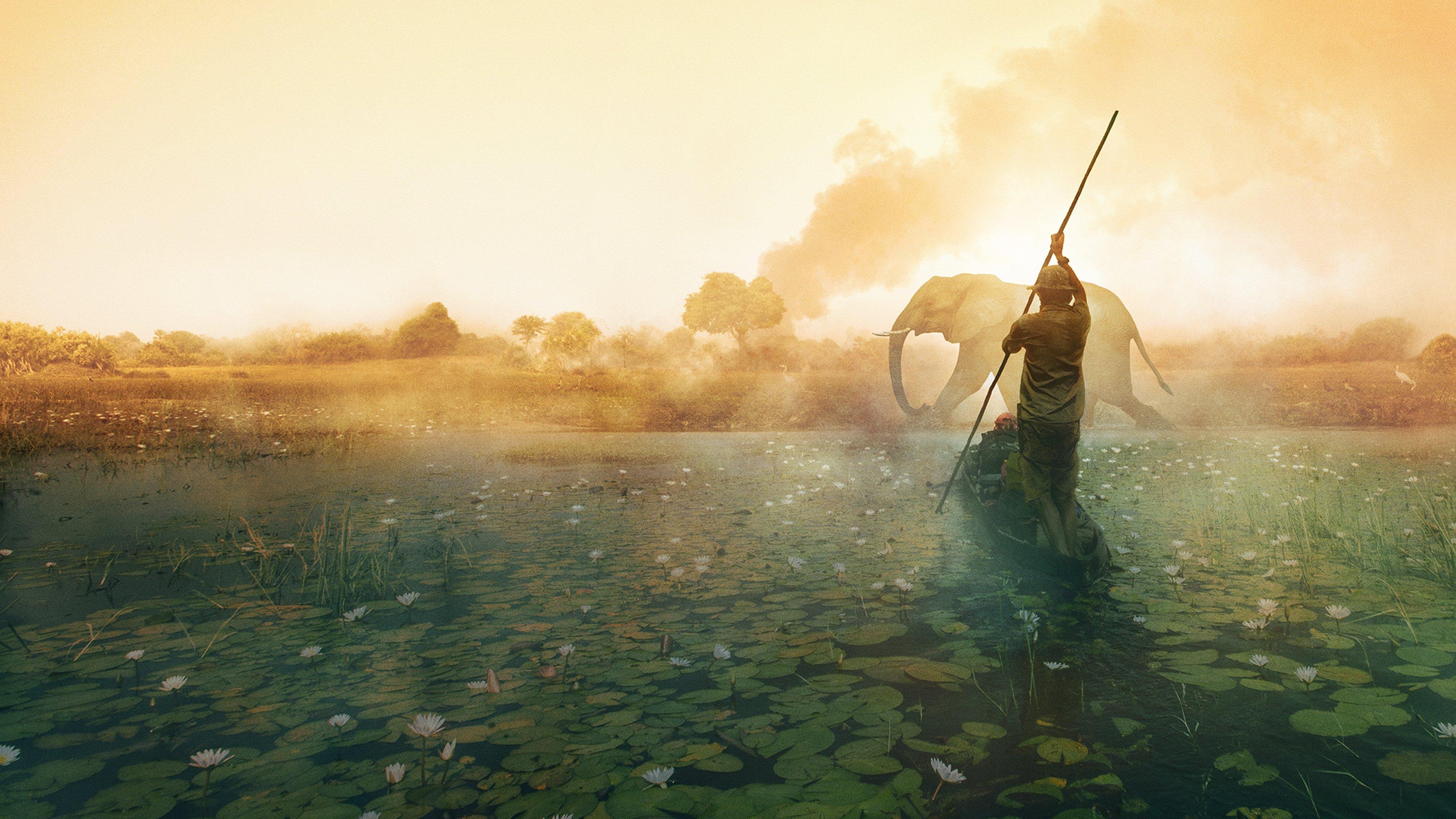 Into the Okavango 2018 movie scene