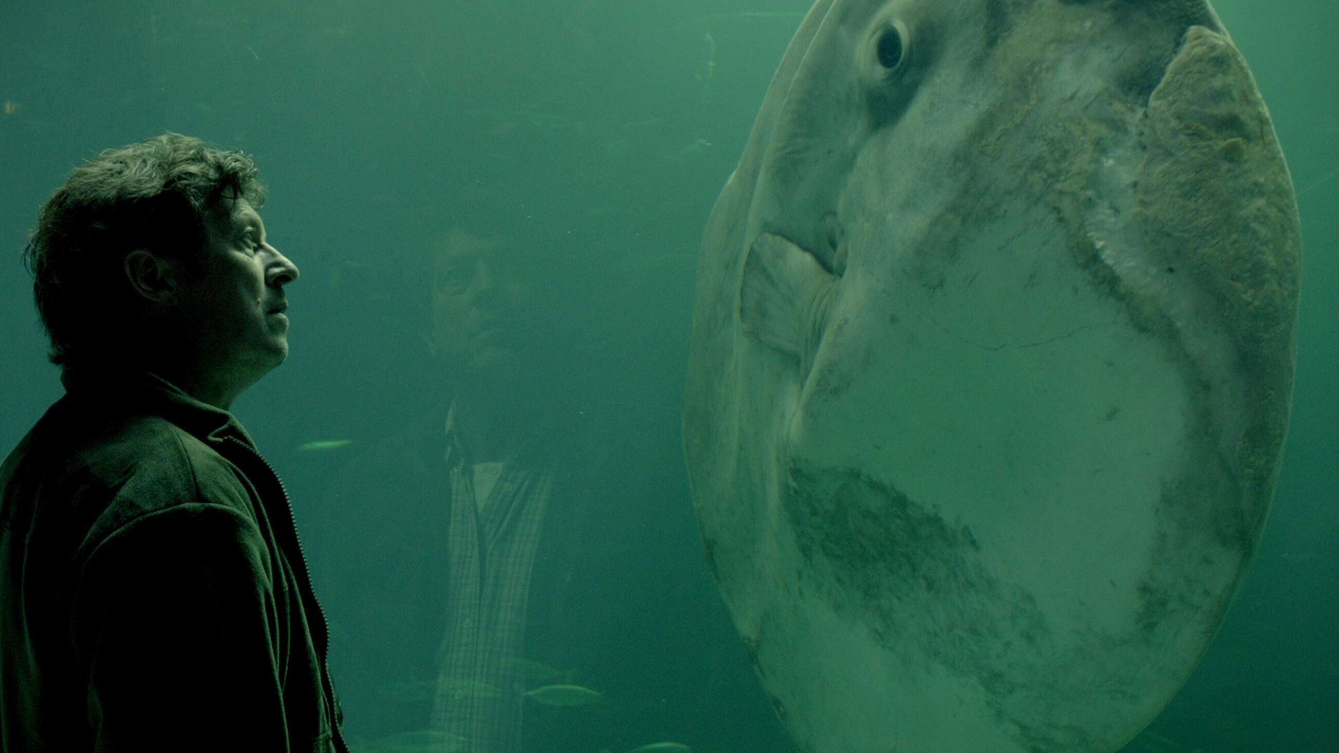 The Sunfish 2014 movie scene