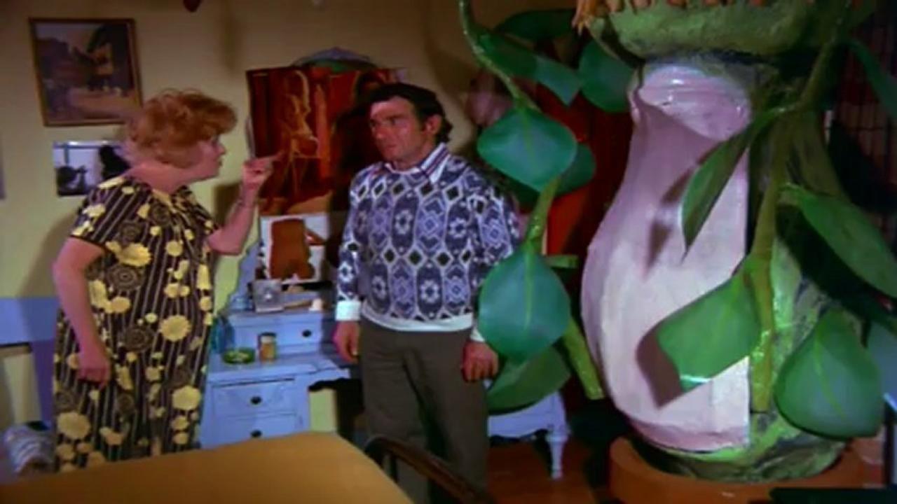 Please Don't Eat My Mother! 1973 movie scene