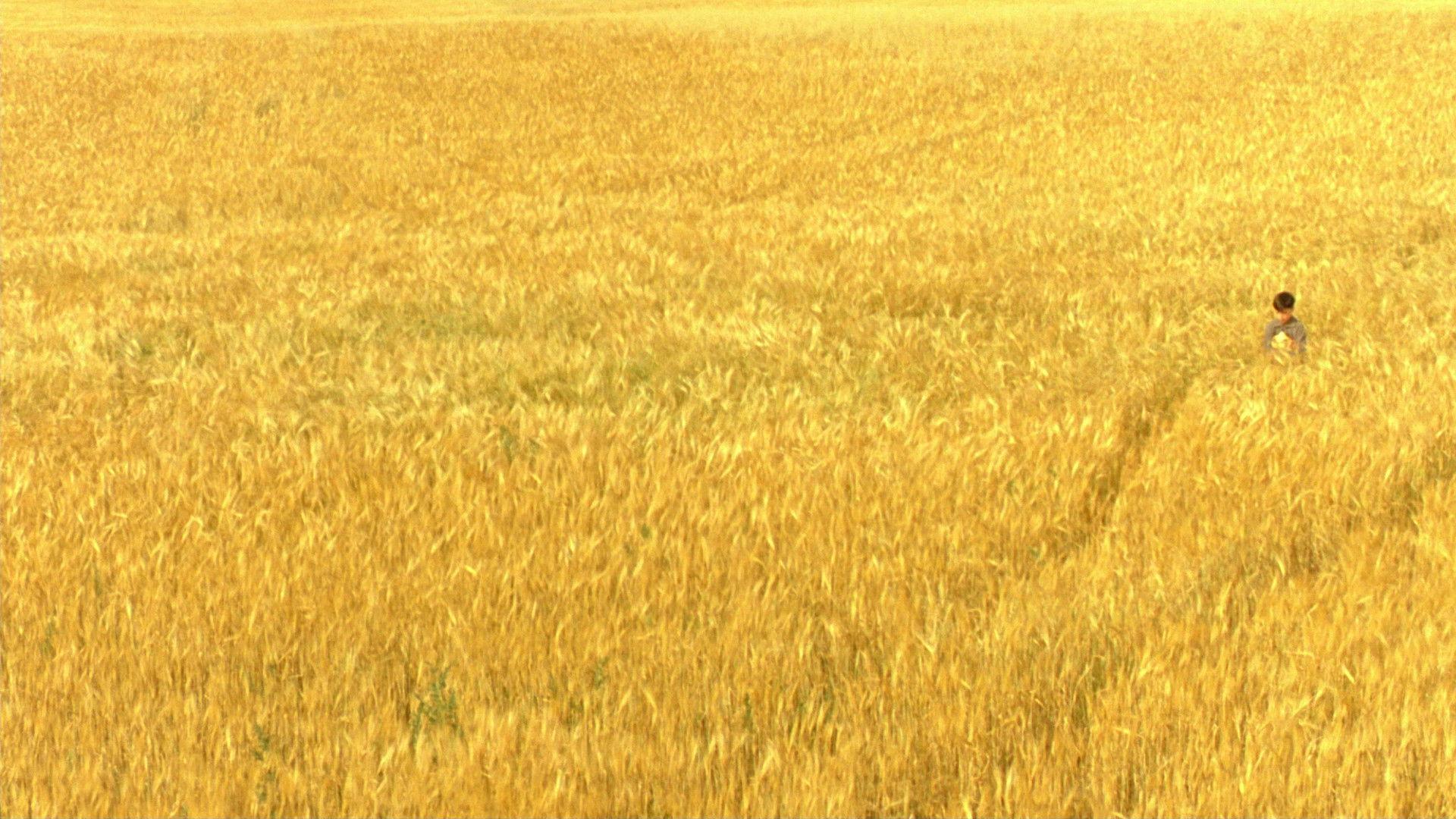 The Reflecting Skin 1990 movie scene