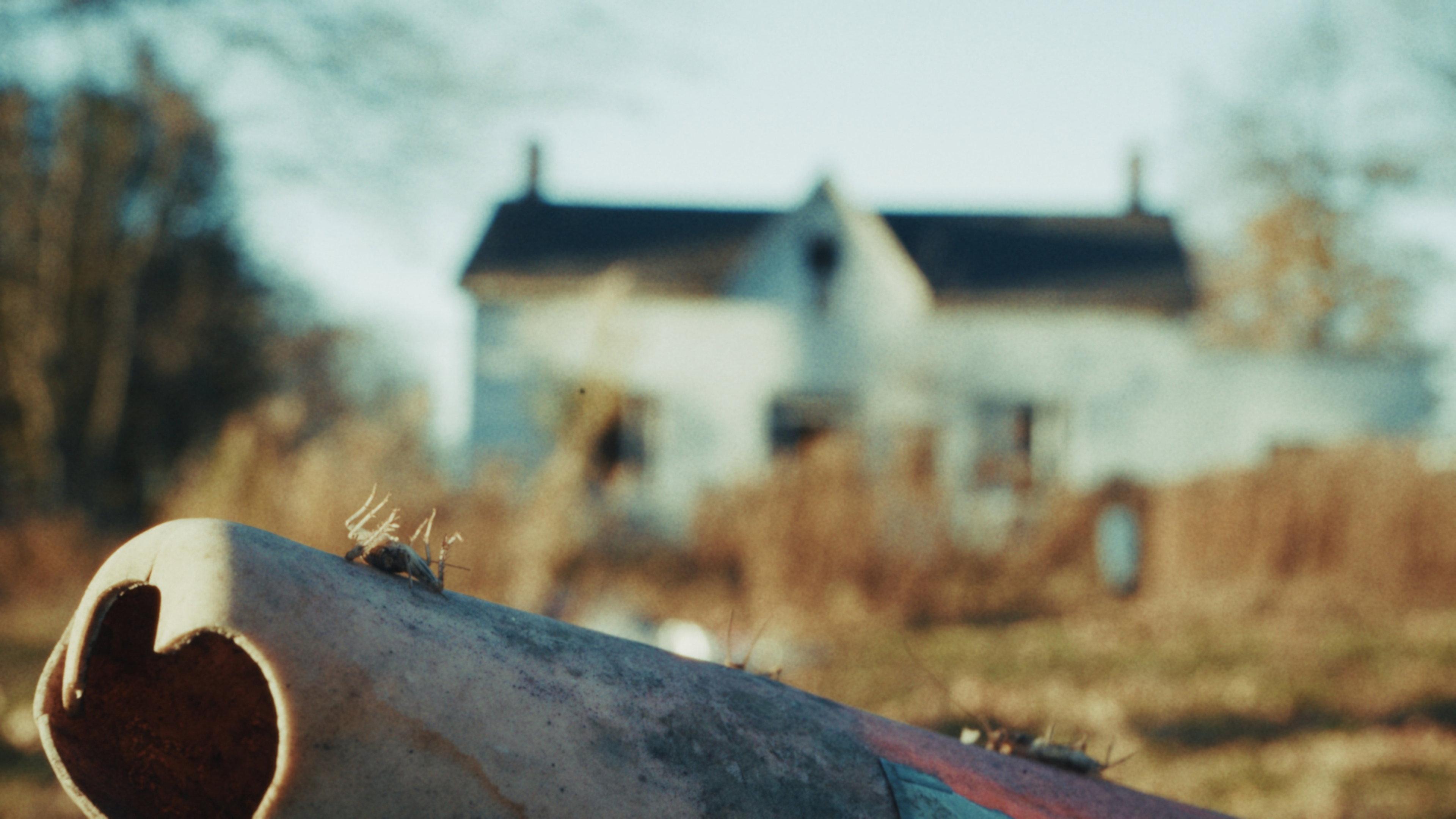 Back to the Old House movie scene