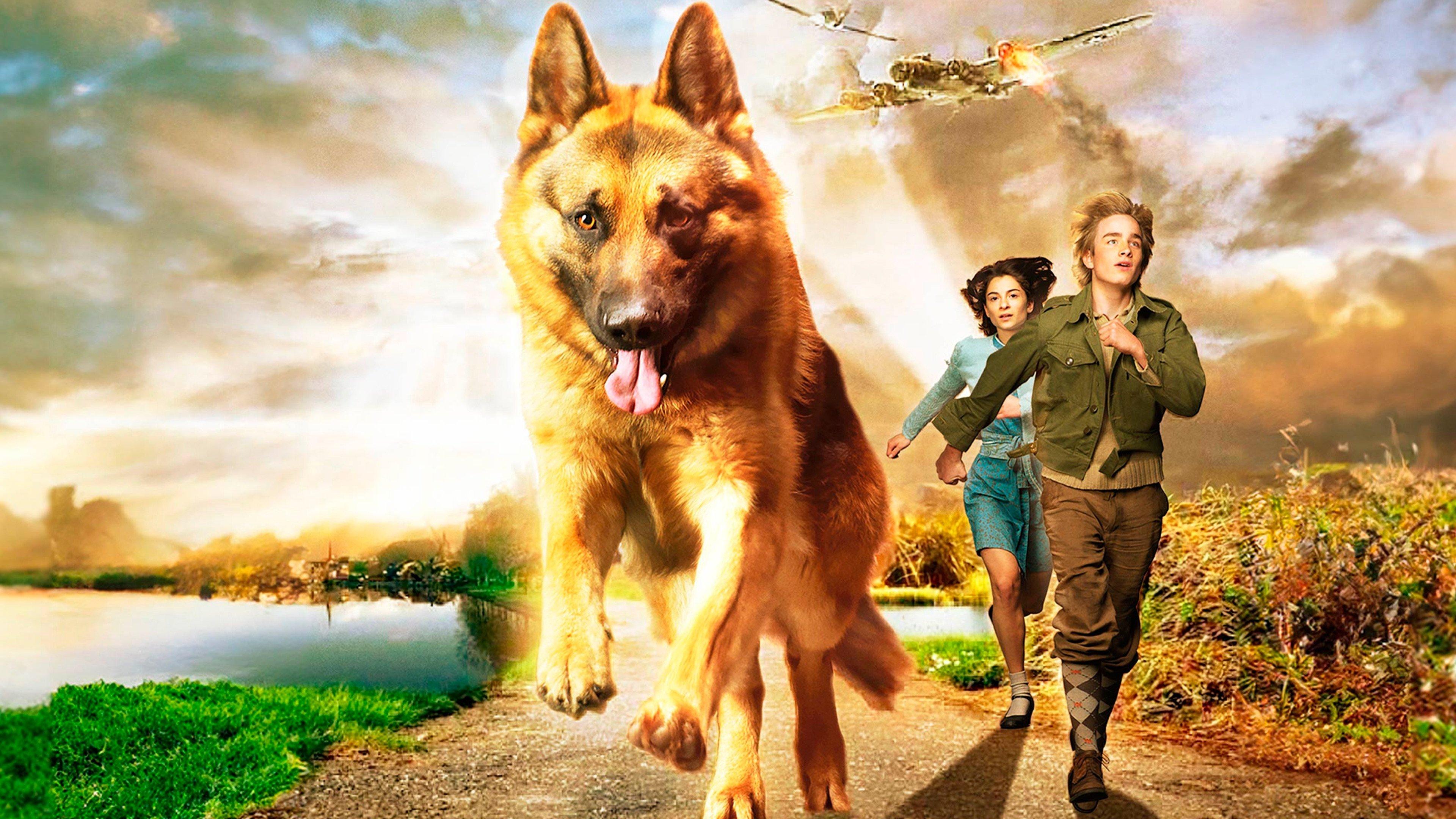 Snuf De Hond In Oorlogstijd 2008 movie scene